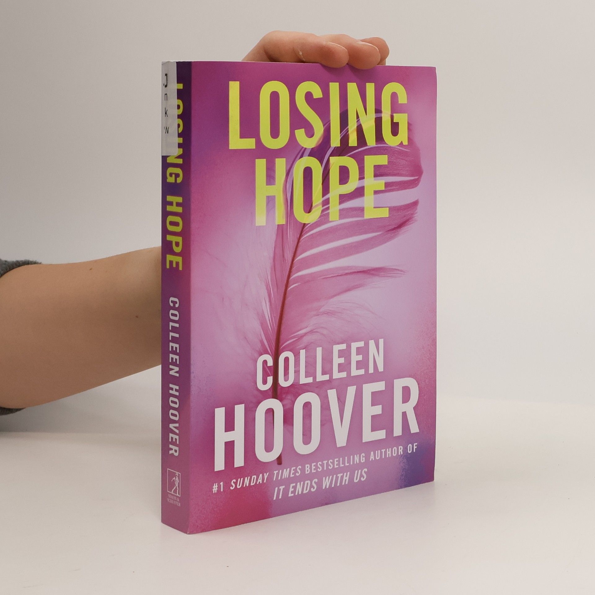 Colleen Hooverová Losing Hope