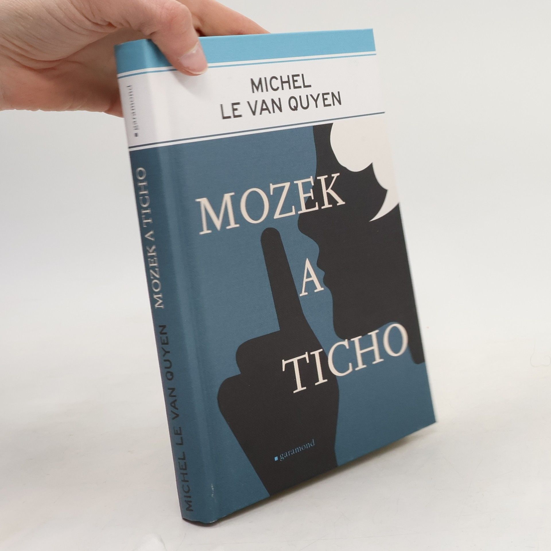 Michel Le Van Quyen Mozek a ticho