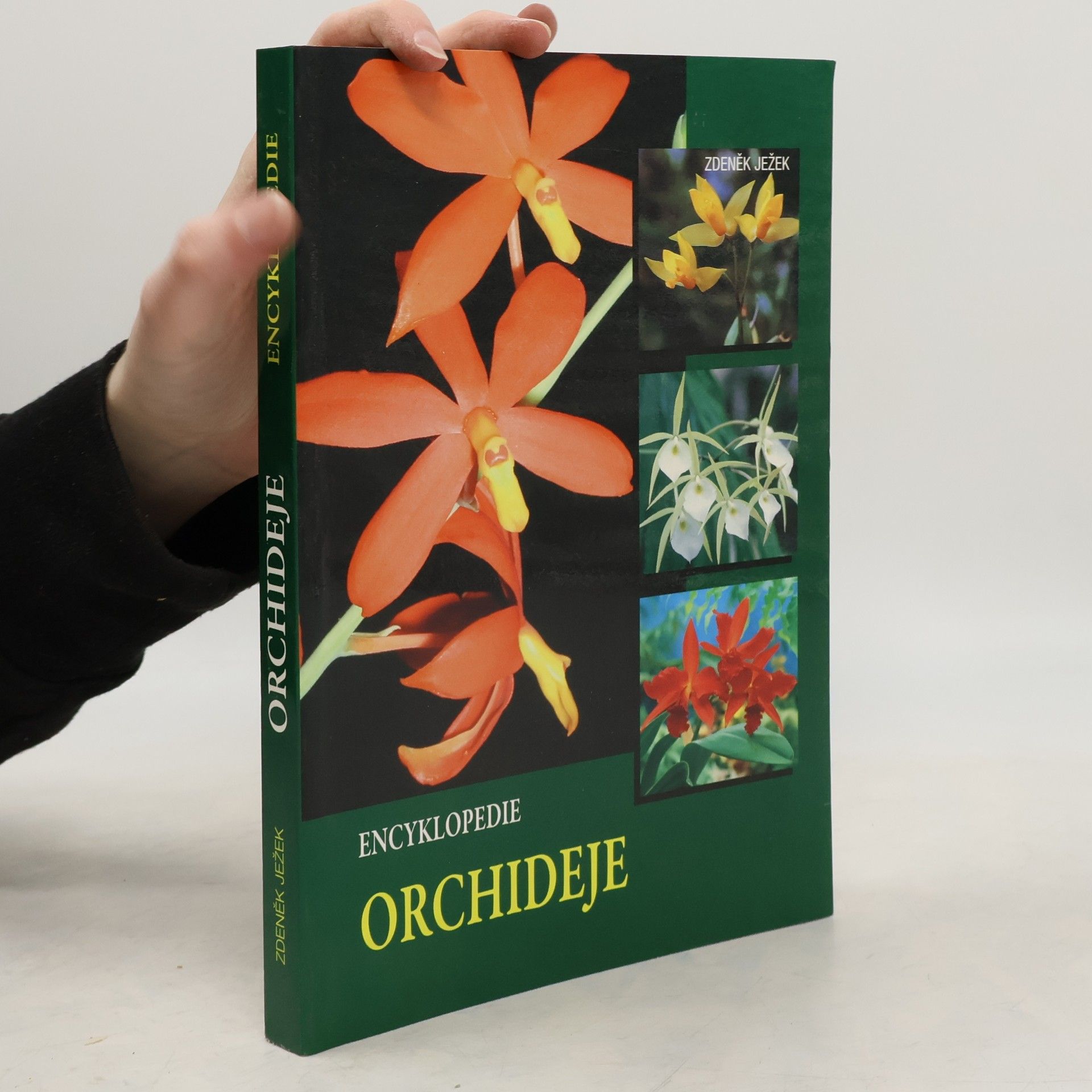Zdeněk Ježek Encyklopedie - Orchideje