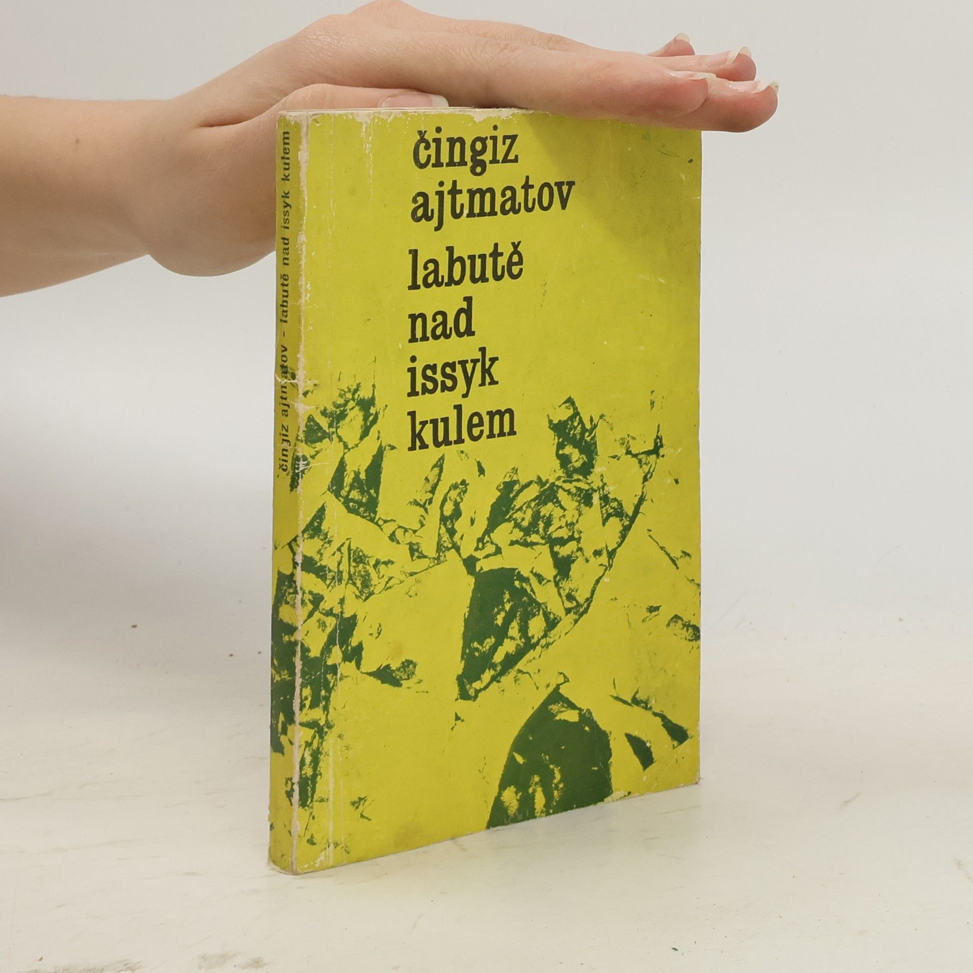 Labutě nad Issyk Kulem