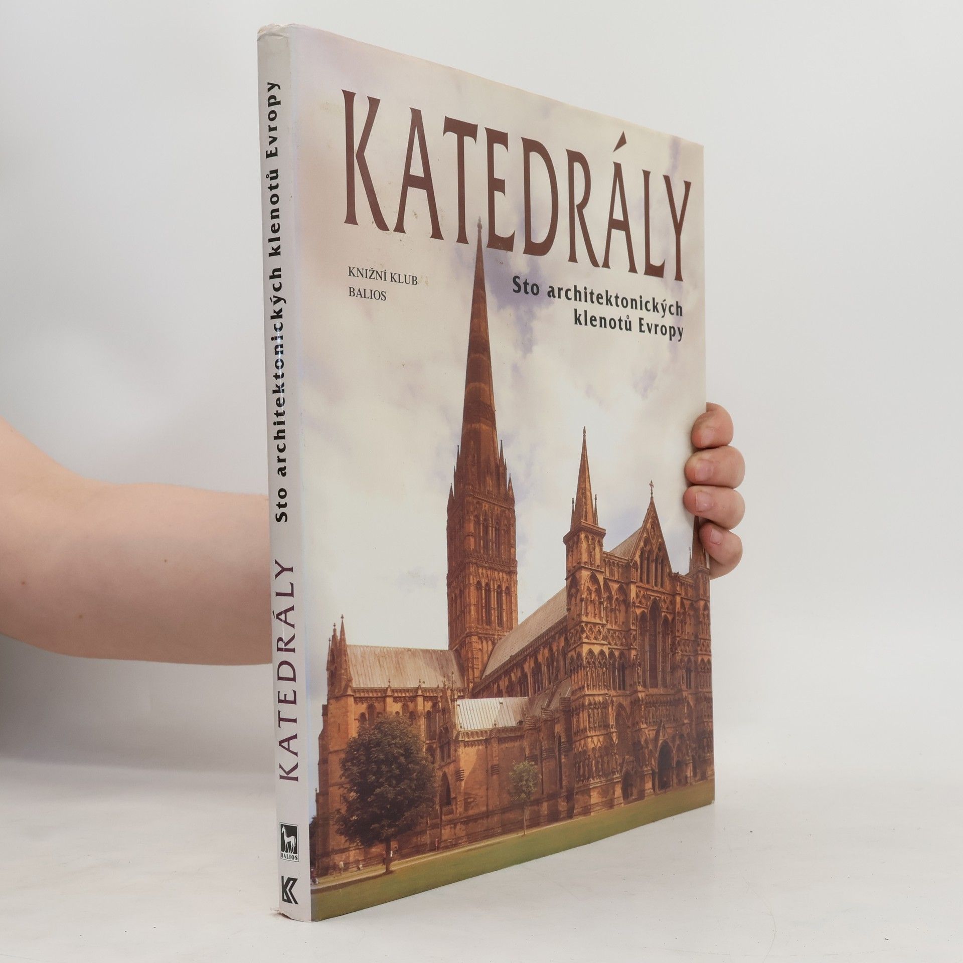 Josef Matějů Katedrály : sto architektonických klenotů Evropy