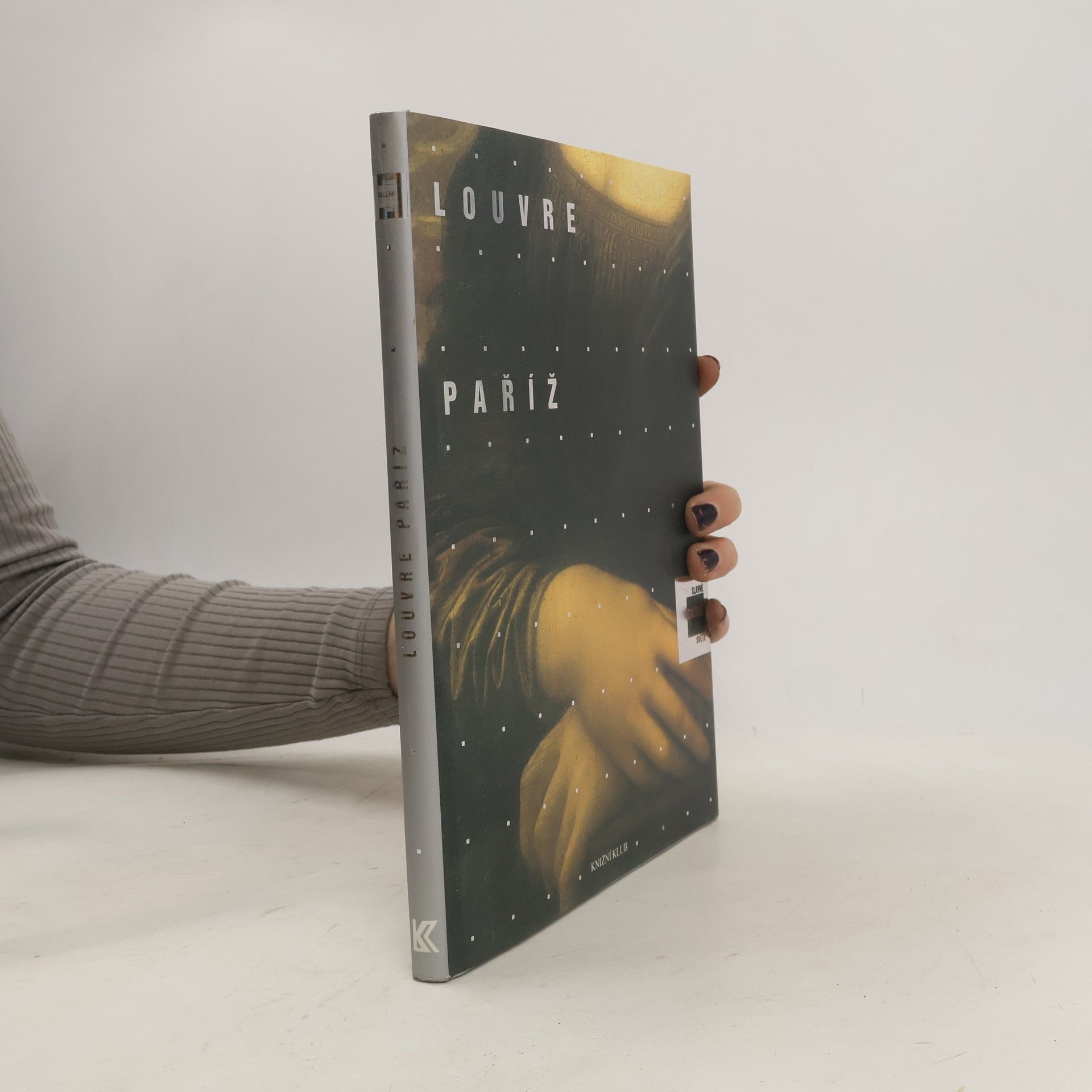 Alessandra Fregolent Slavné galerie světa. Louvre - Paříž