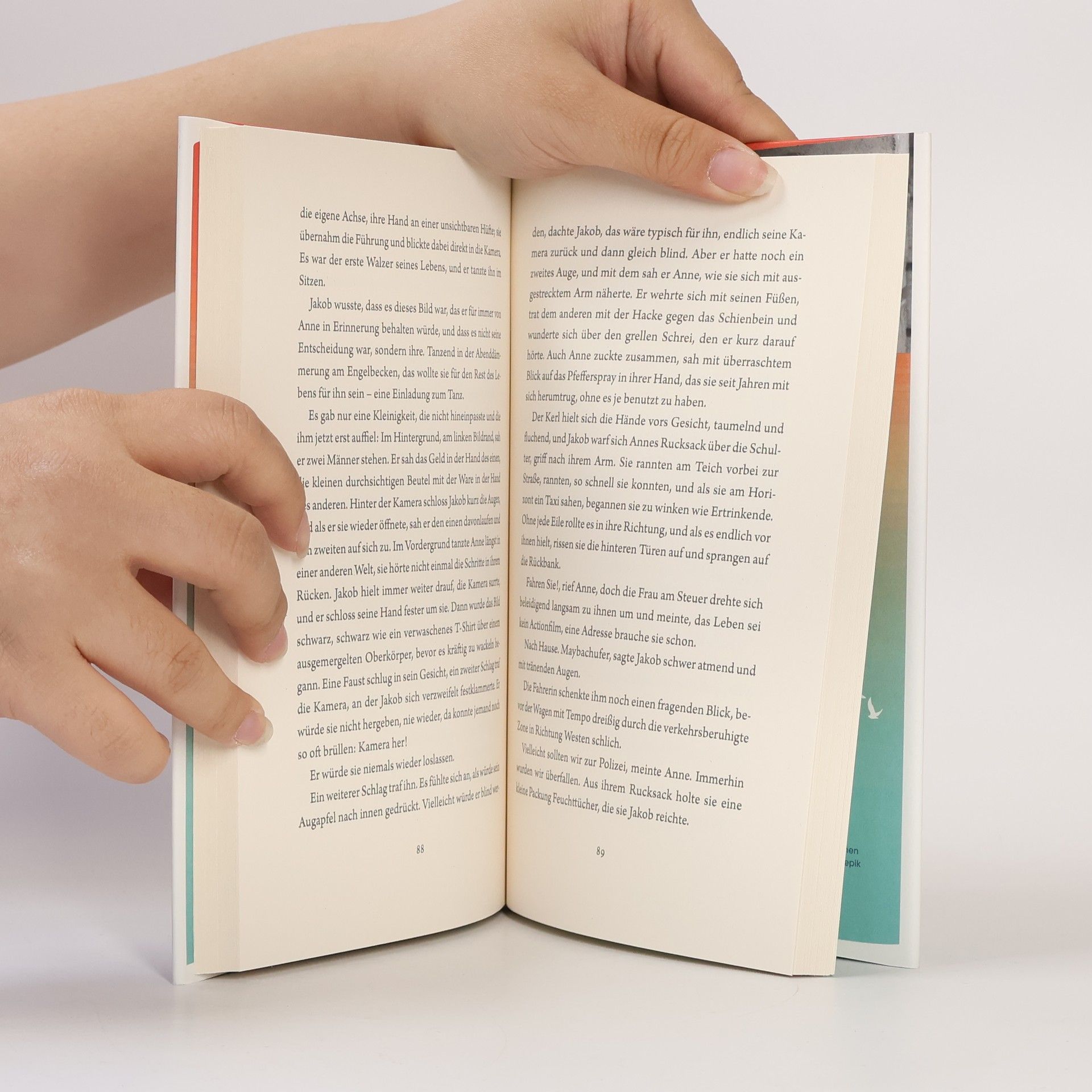 Lucy Fricke Das Fest. Roman | Das neue Buch der Bestsellerautorin | Über die Lebenskrise, die uns der 50. Geburtstag schenkt