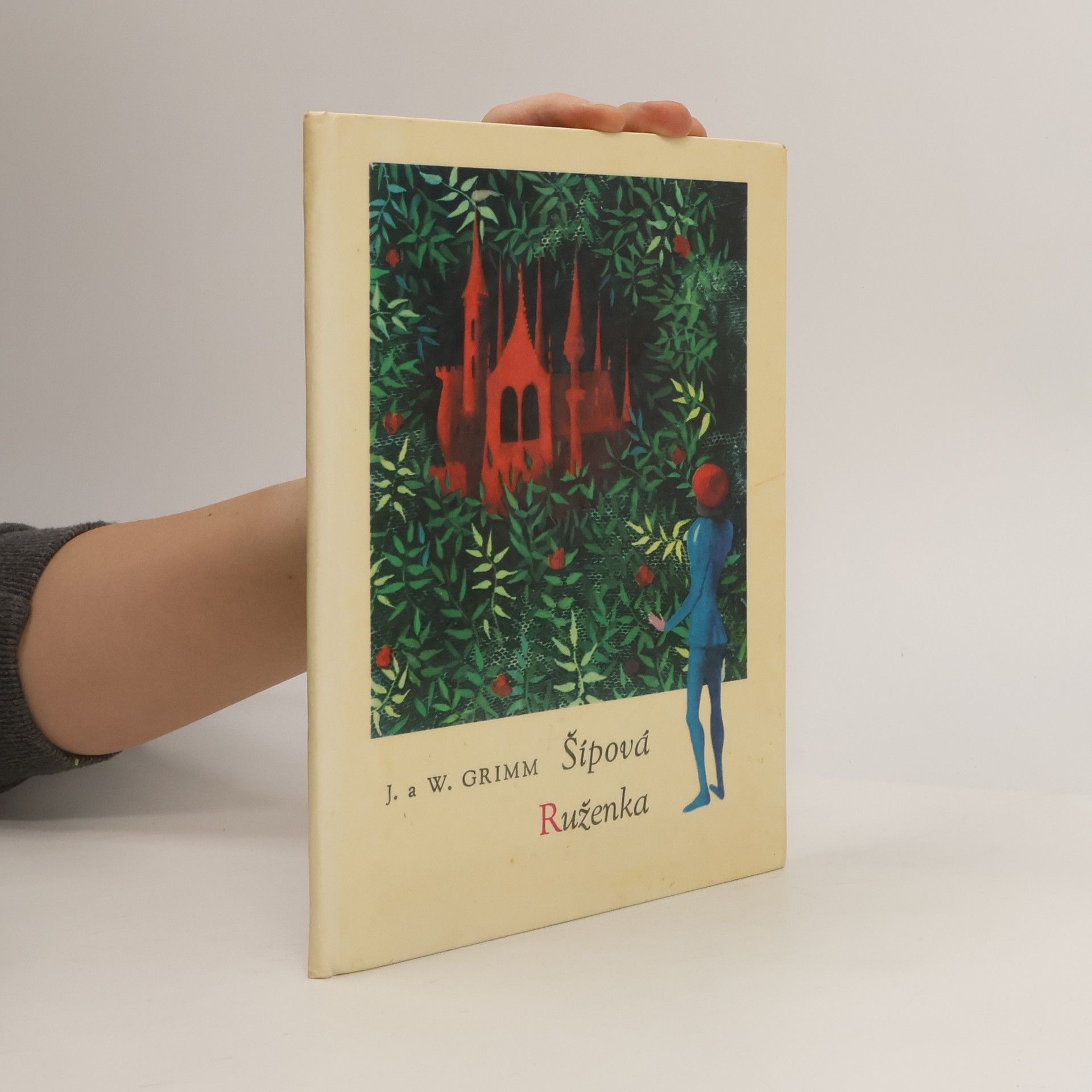 Jacob Grimm Šípová Ruženka