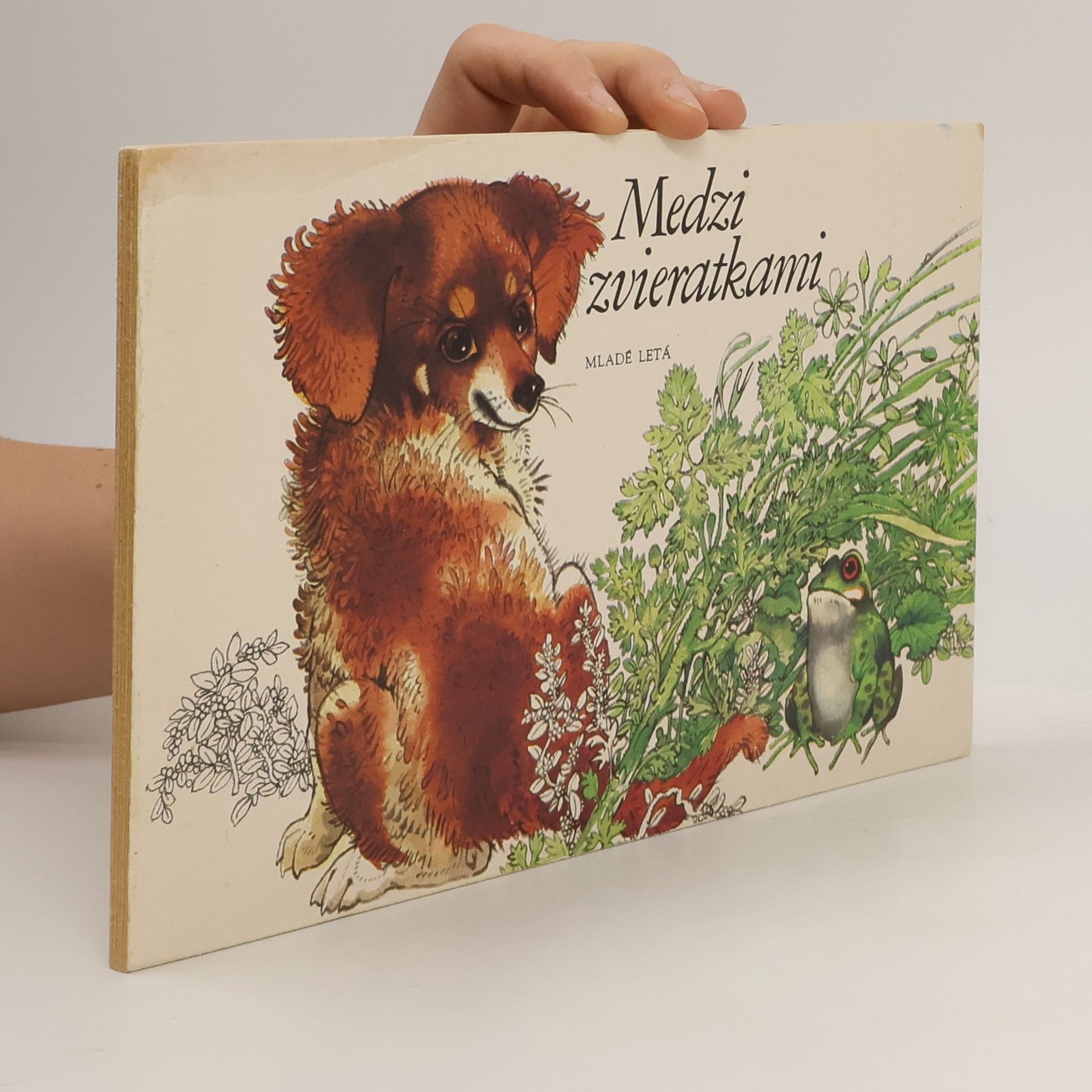 Vladimír Machaj Medzi zvieratkami