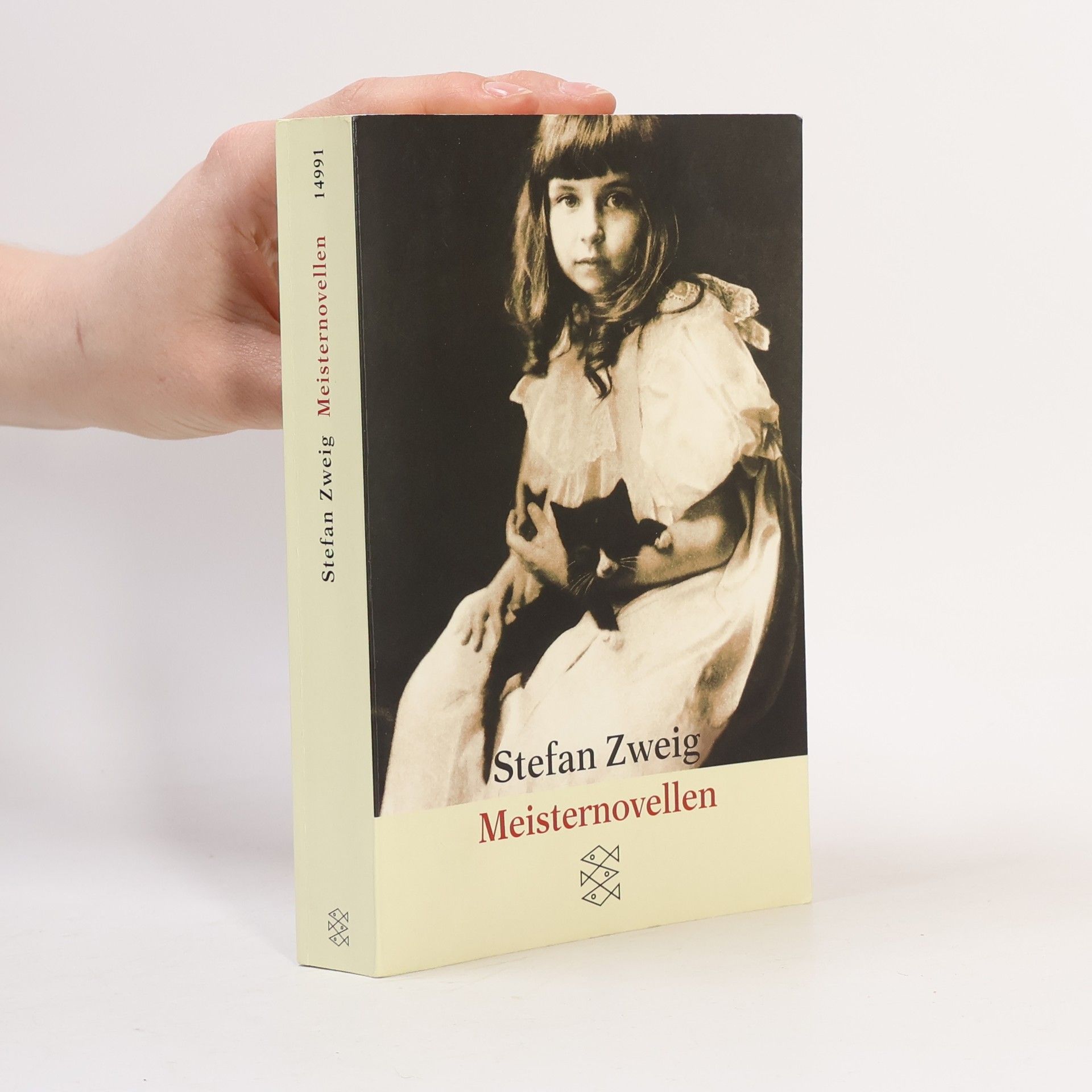 Stefan Zweig Meisternovellen