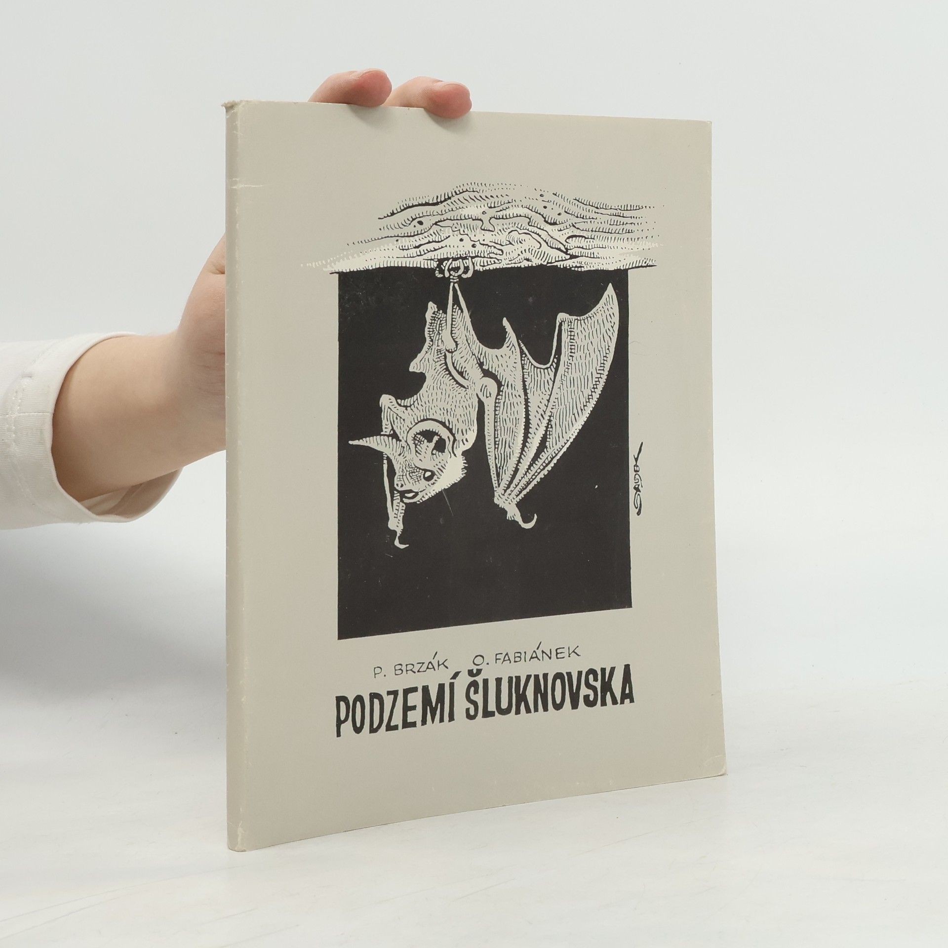 Podzemí Šluknovska