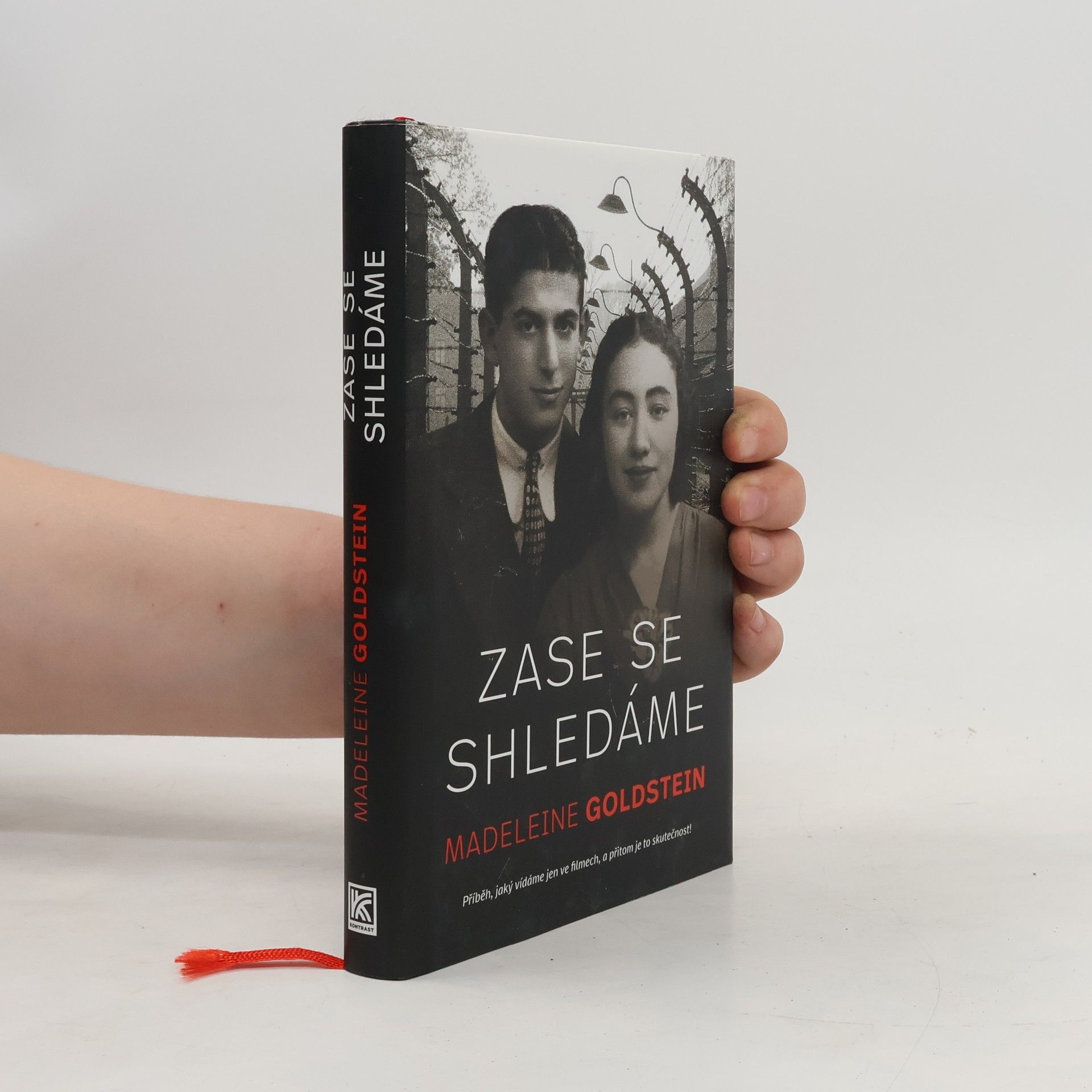 Madeleine Goldstein Zase se shledáme