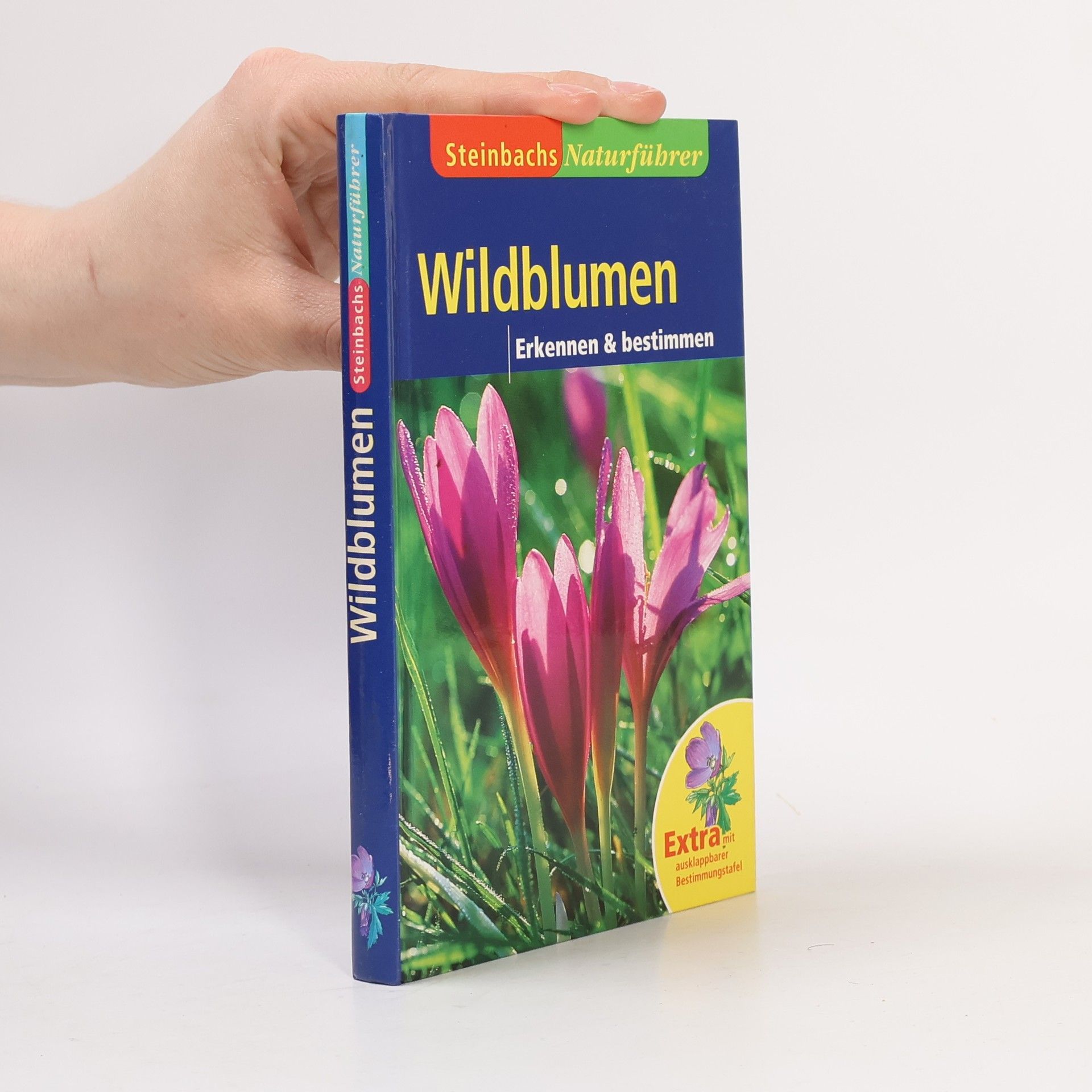 Autorenkollektiv Wildblumen