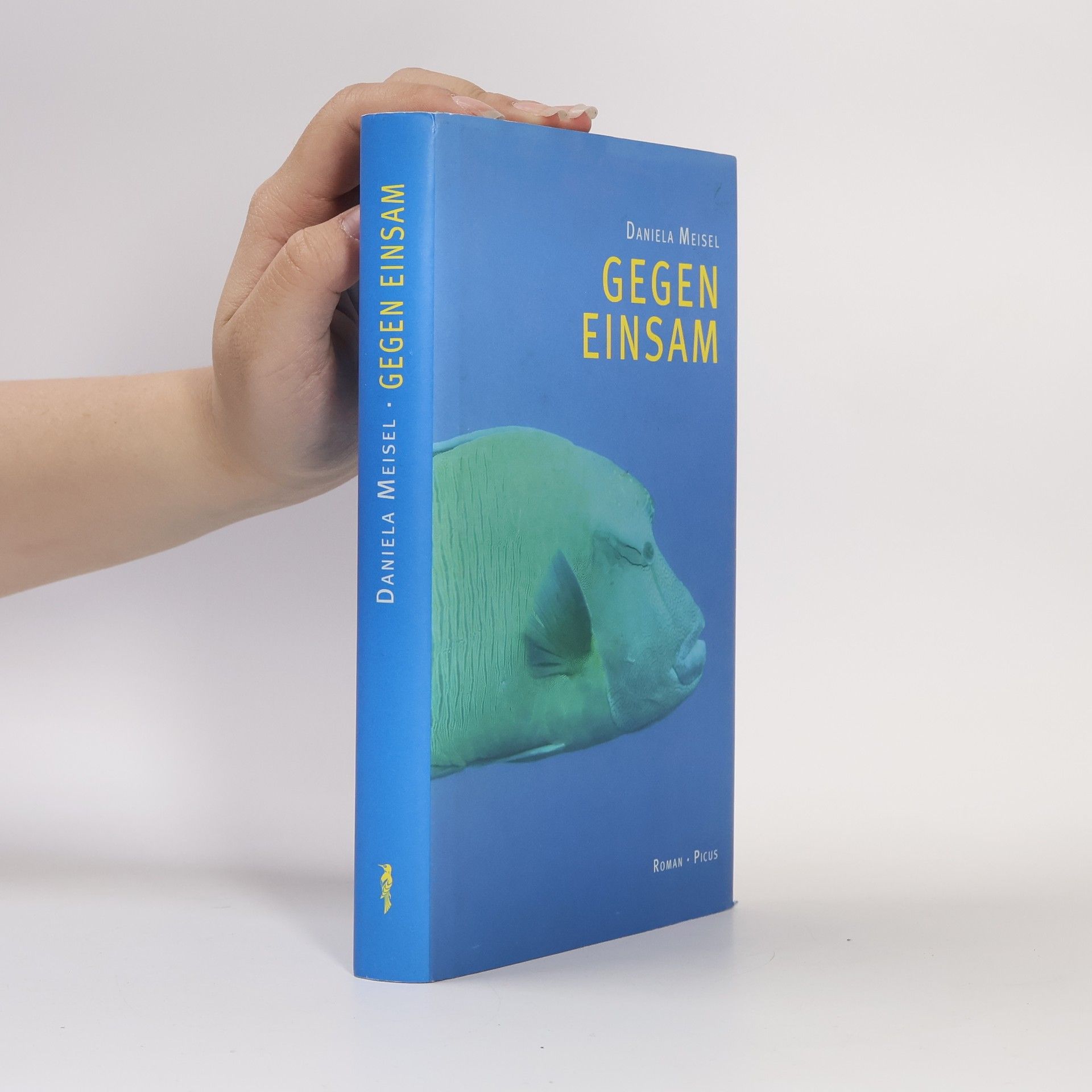 Daniela Meisel Gegen einsam