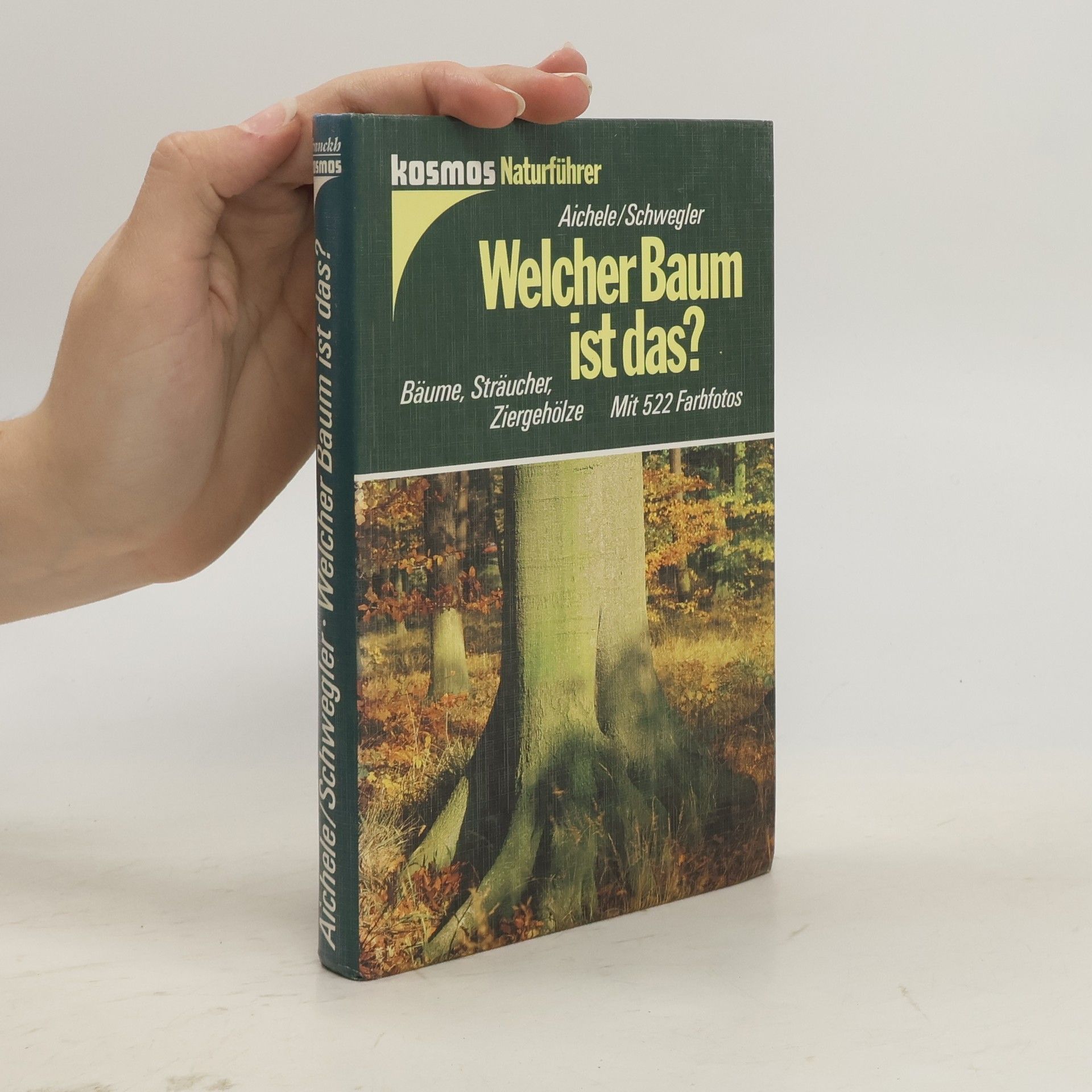 Dietmar Aichele Welcher Baum ist das?