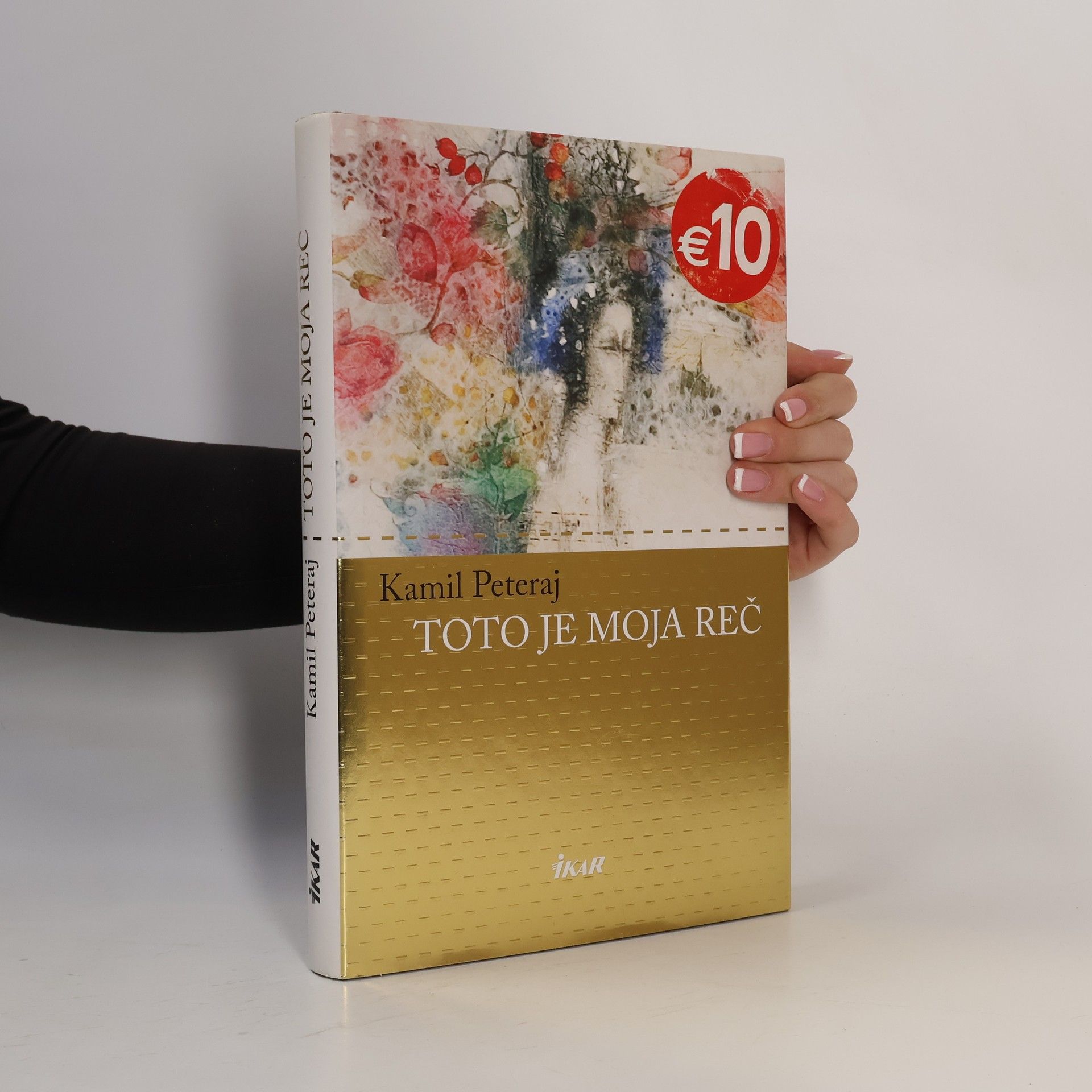 Vladimír Bříza Word 2002 : podrobný průvodce začínajícího uživatele