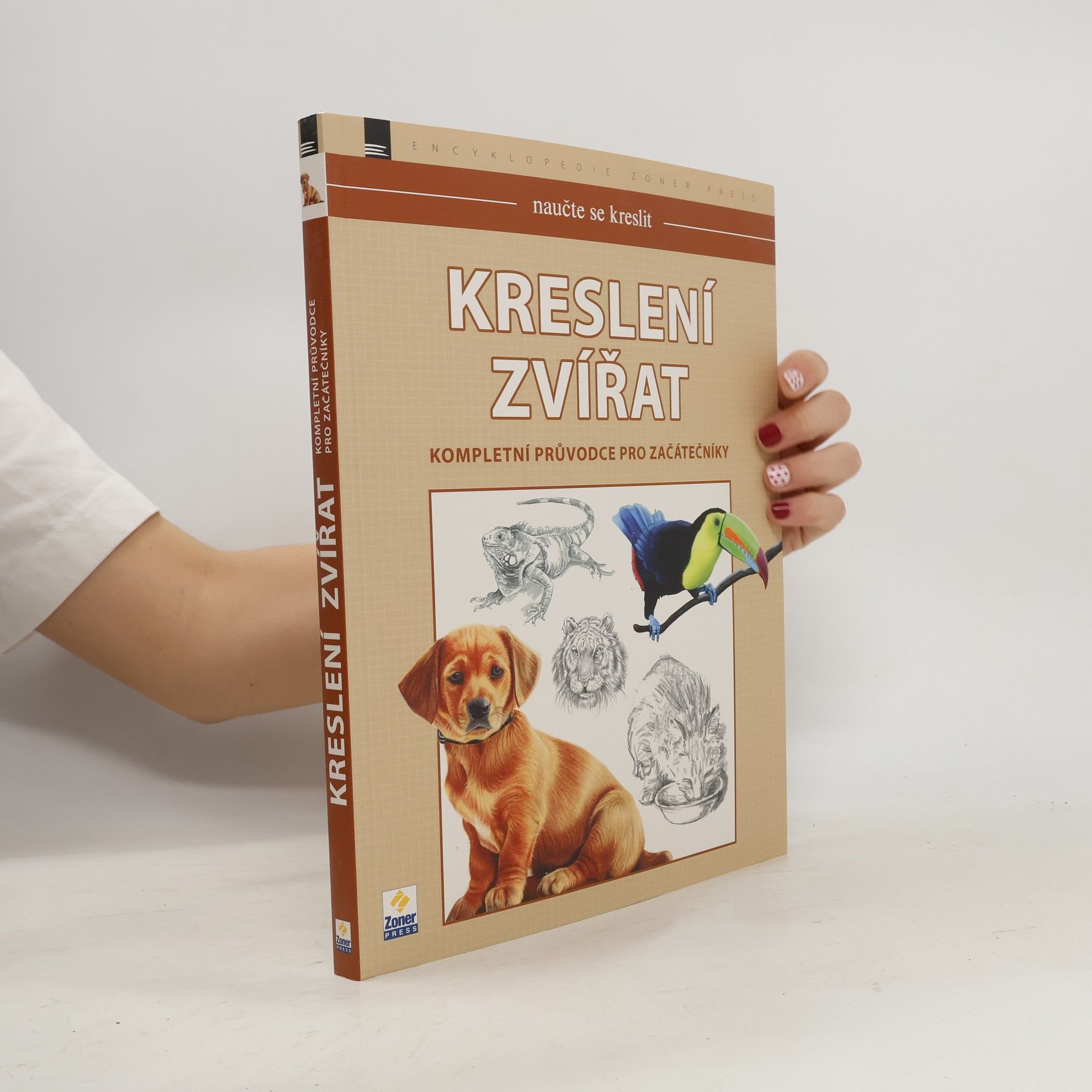 Kolektiv autorů Naučte se kreslit - Kreslení zvířat