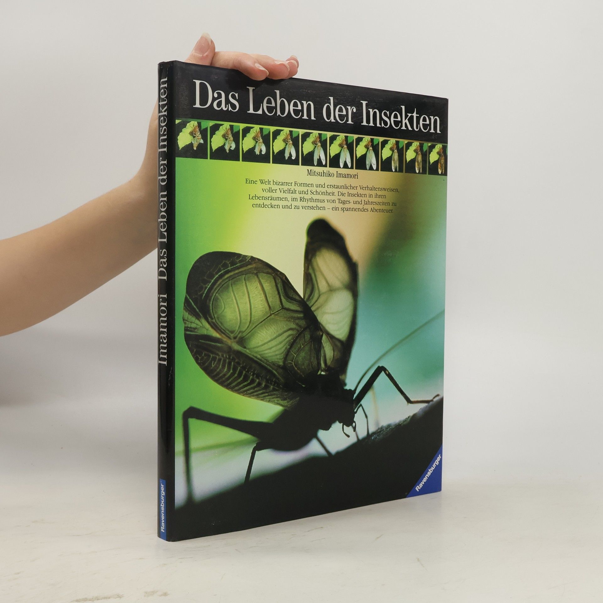 Mitsuhiko Imamori Das Leben der Insekten