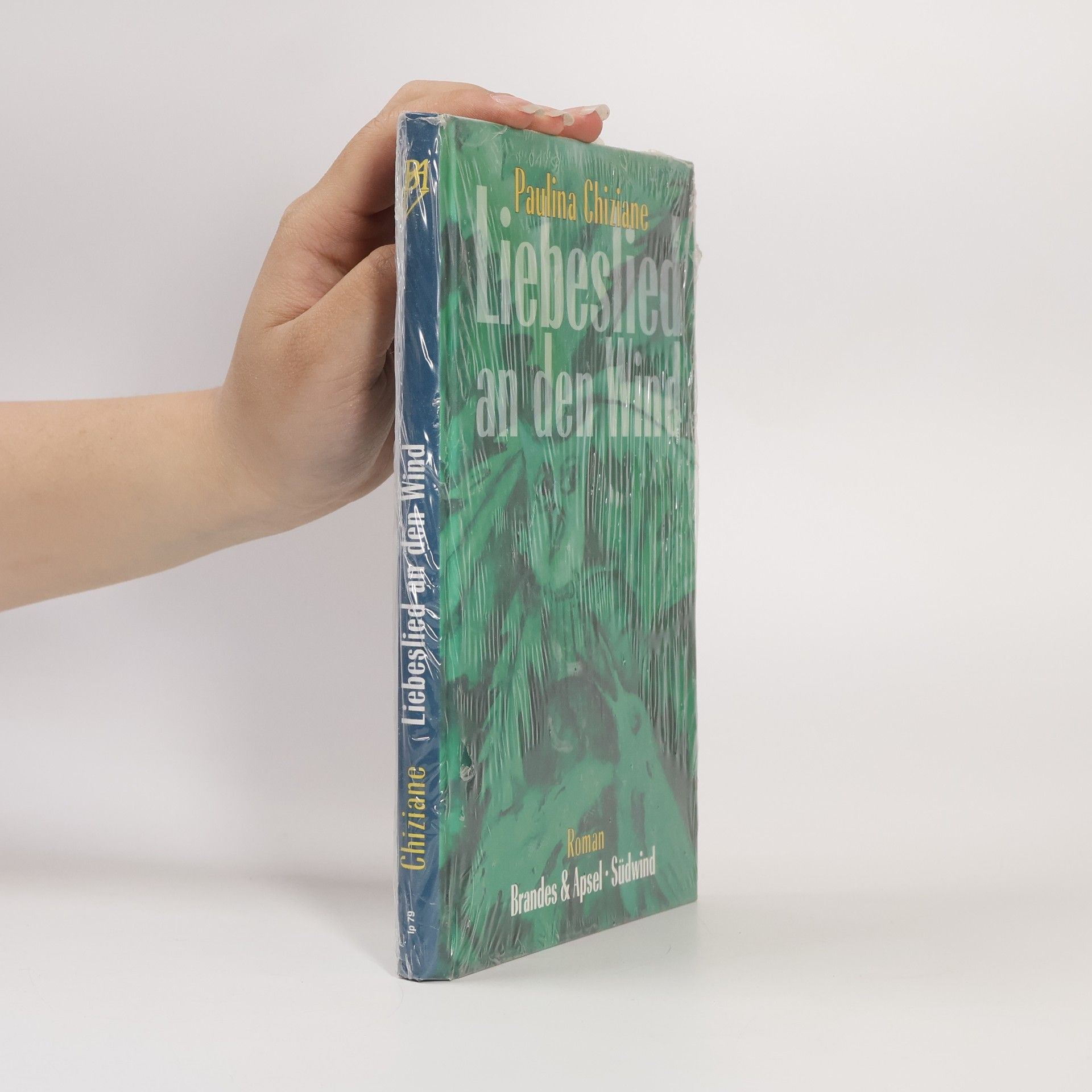 Paulina Chiziane Liebeslied an den Wind