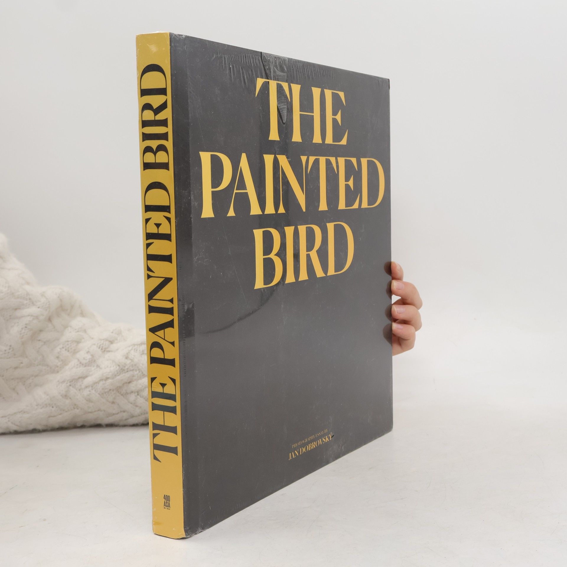 The Painted Bird