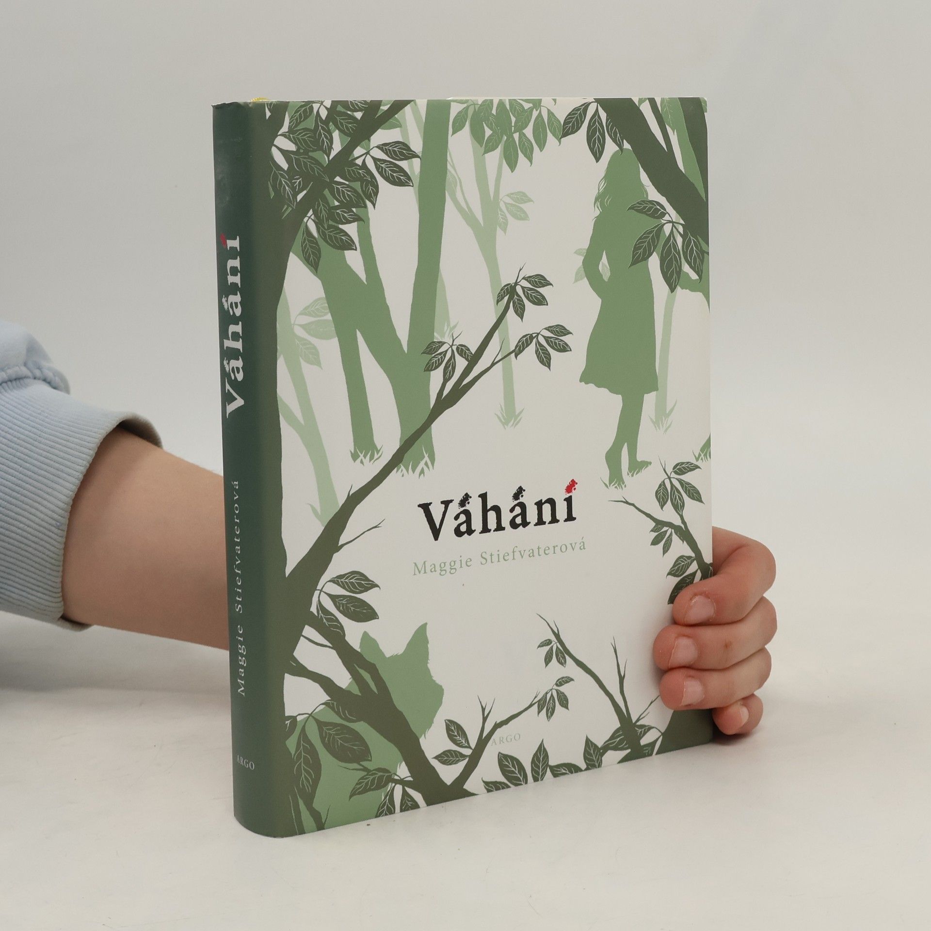 Maggie Stiefvater Váhání