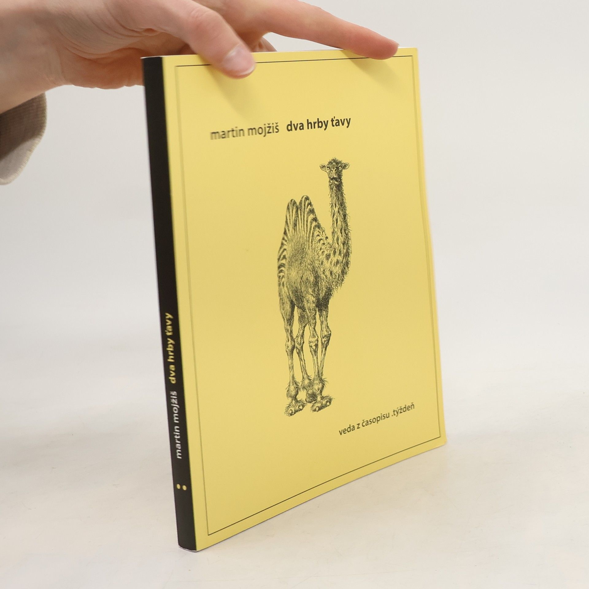 Martin Mojžiš Dva hrby ťavy