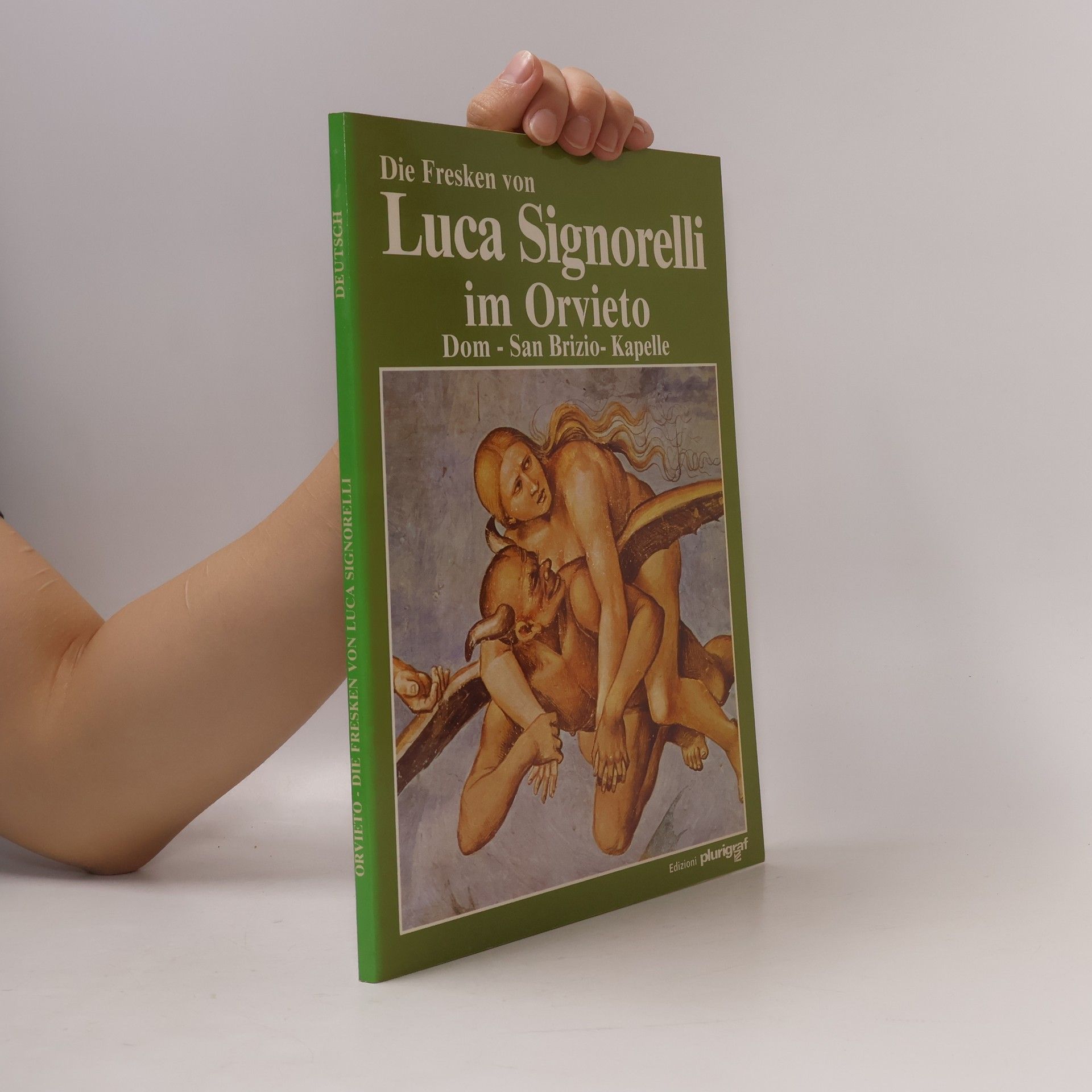 Autorenkollektiv Die Fresken von Luca Signorelli im Orvieto