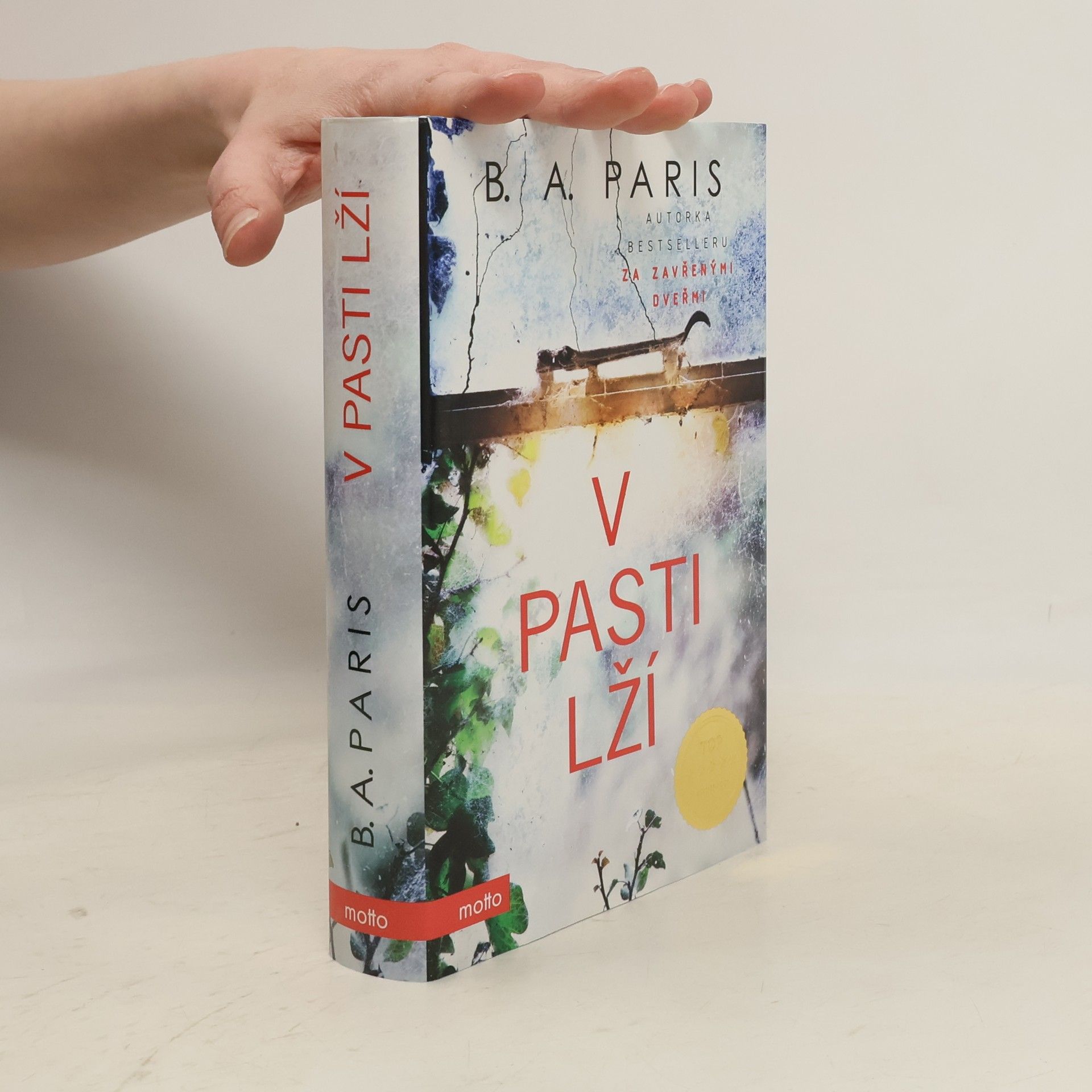 B.A. Paris V pasti lží
