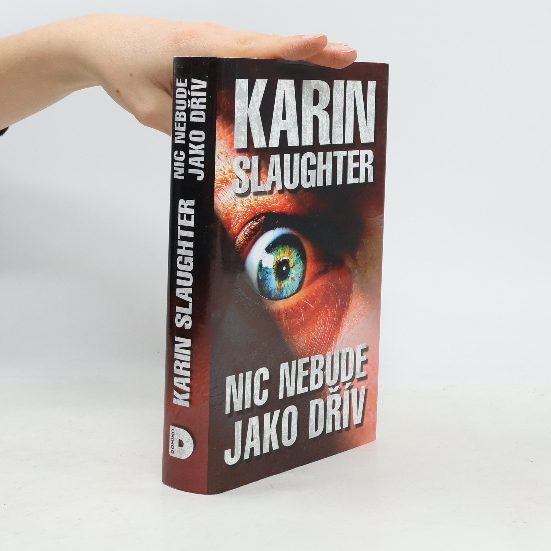 Karin Slaughter Nic nebude jako dřív