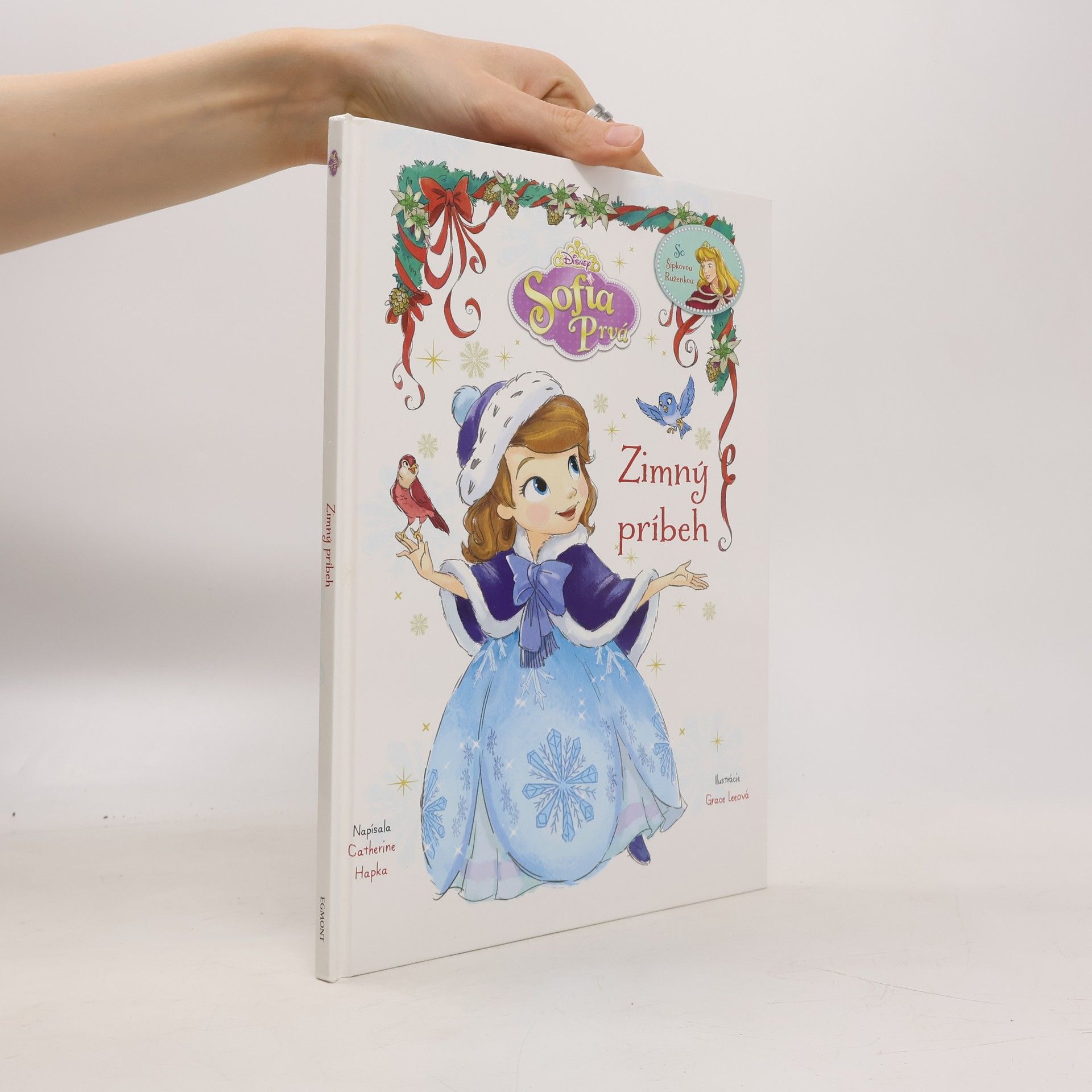 Cathy Hapka Sofia Prvá: Zimný príbeh