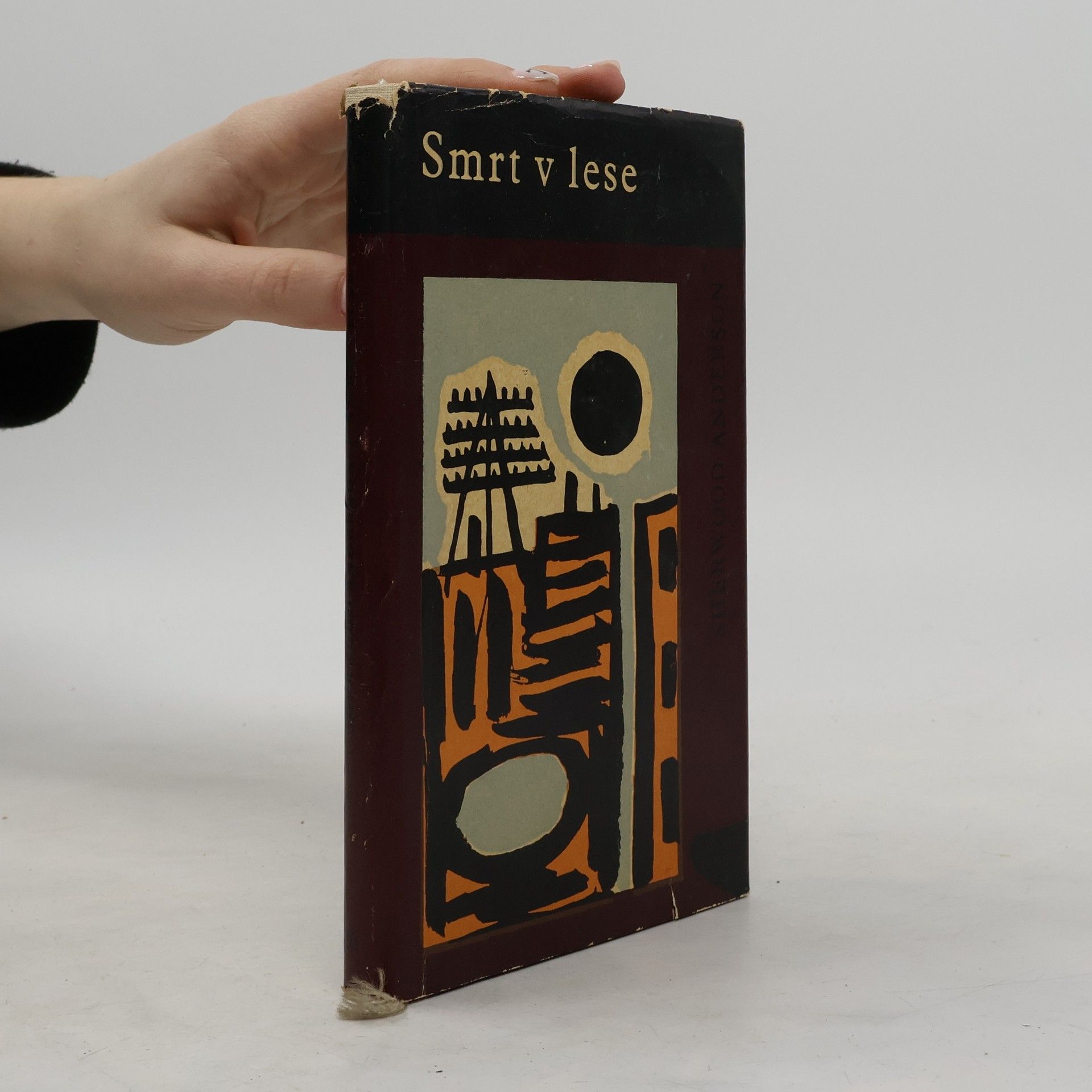 Sherwood Anderson Smrt v lese