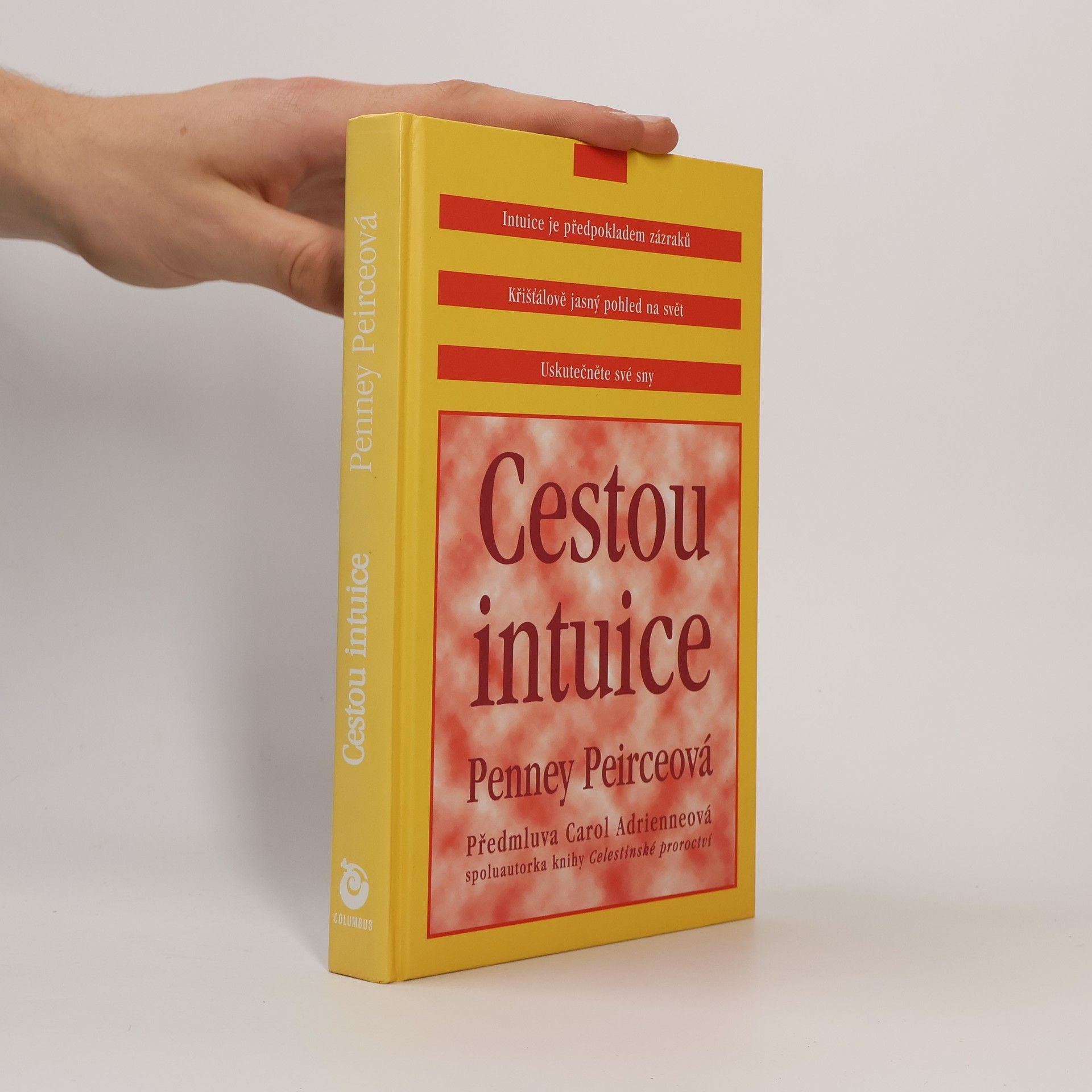 Penney Peirce Cestou intuice: Průvodce životem pod vedením vnitřní moudrosti