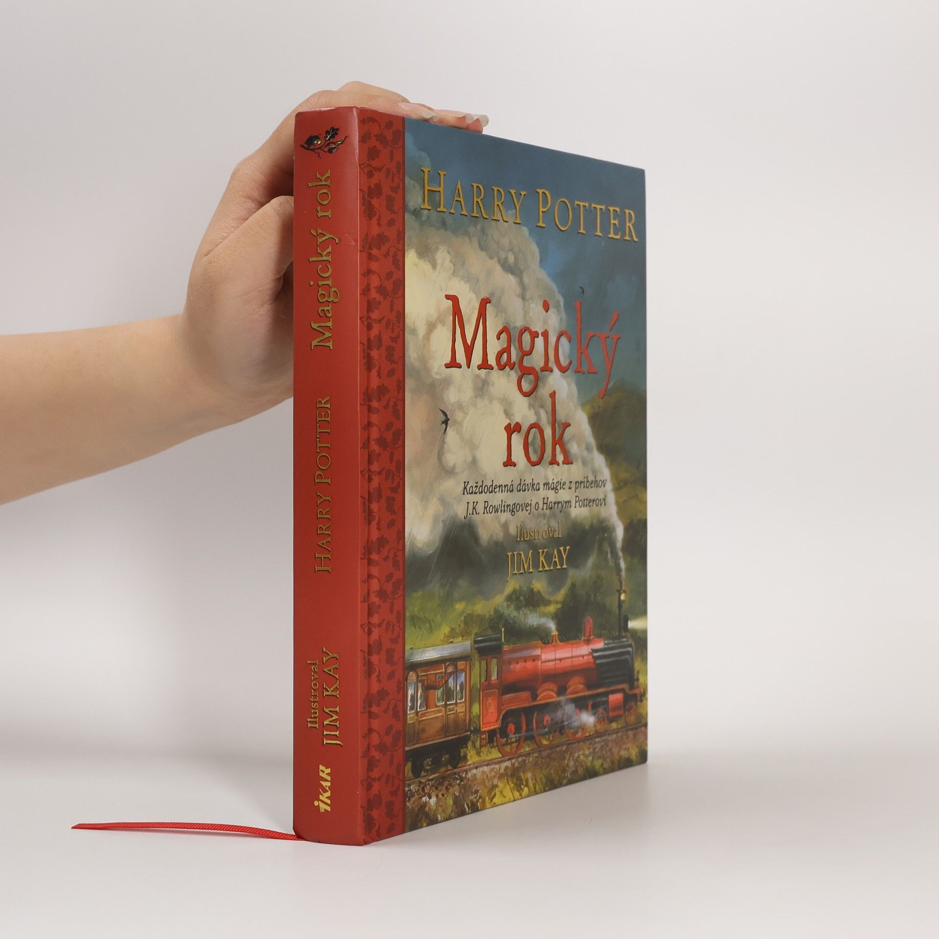 Joanne K. Rowling Harry Potter. Magický rok