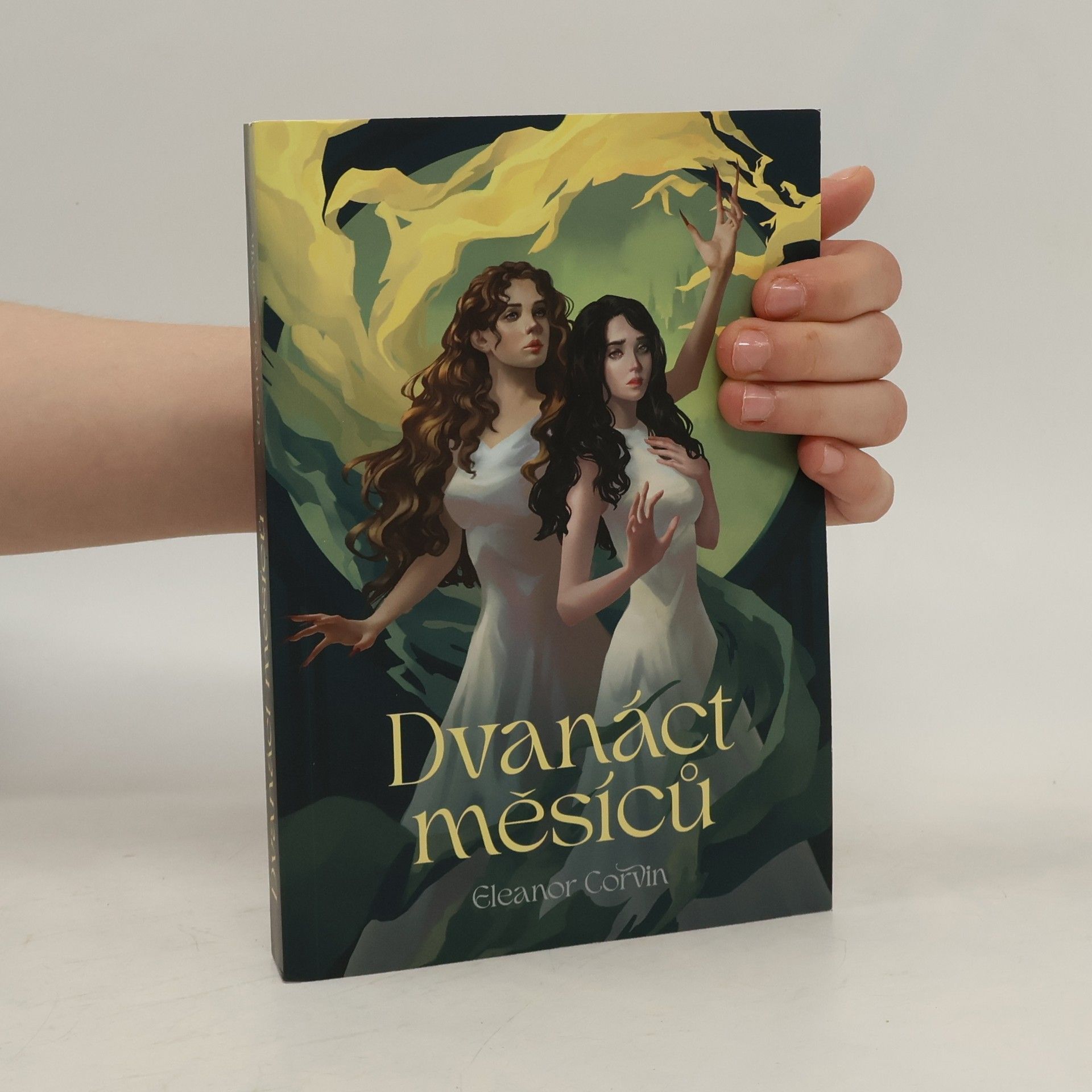 Eleanor Corvin Dvanáct měsíců