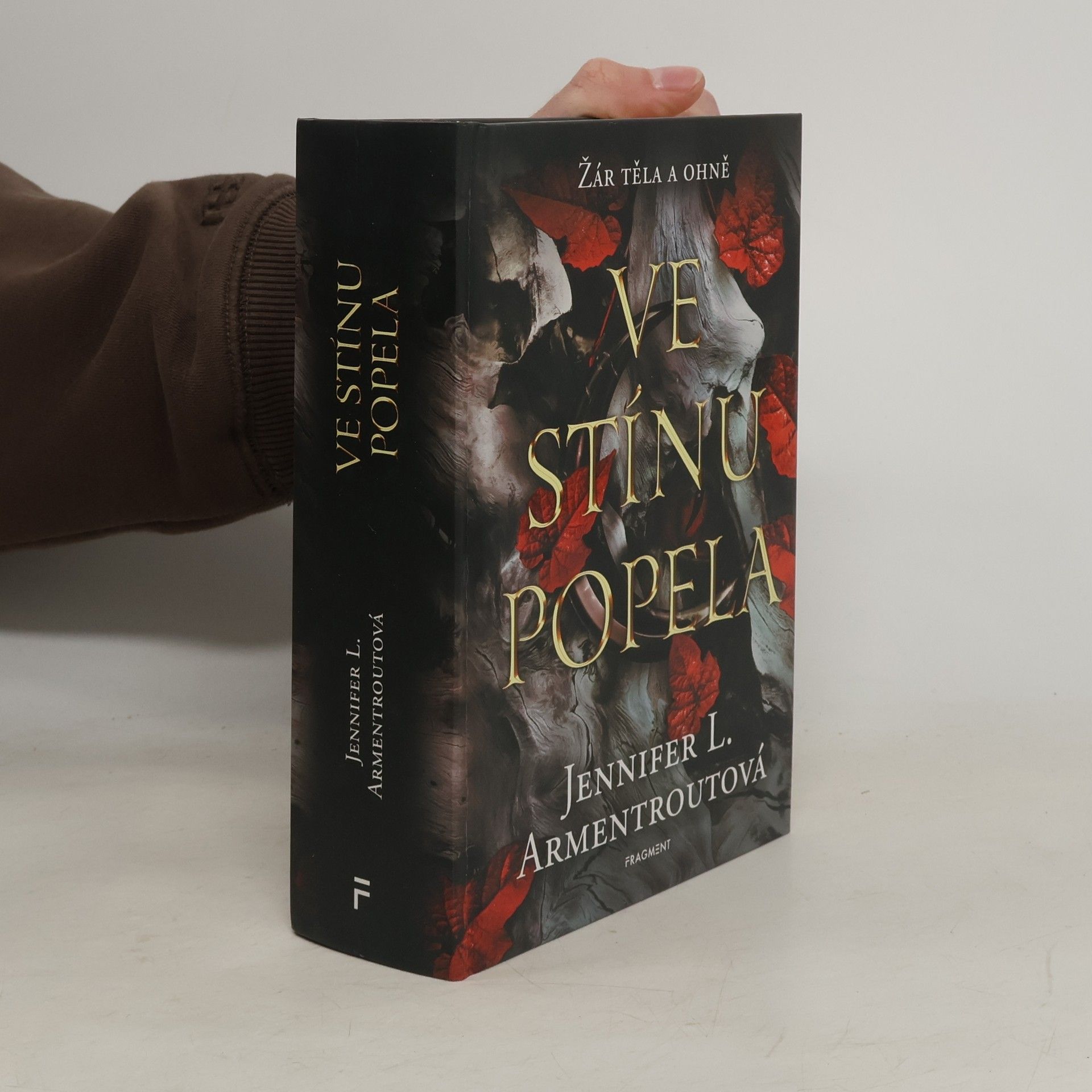 Jennifer L. Armentrout Ve stínu popela