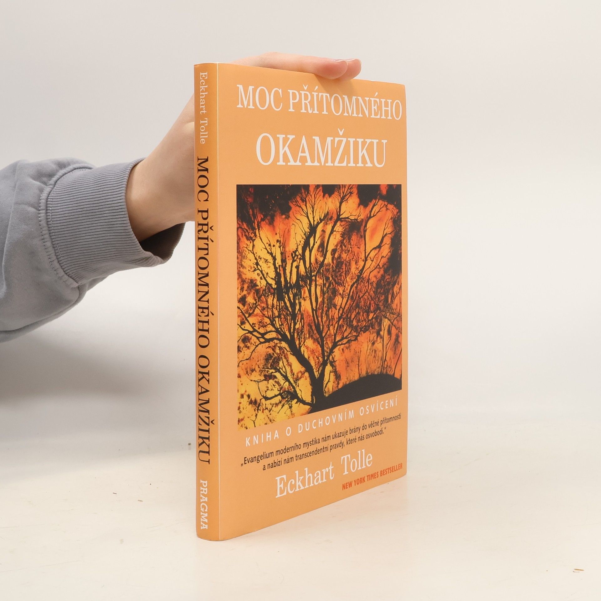 Eckhart Tolle Moc přítomného okamžiku