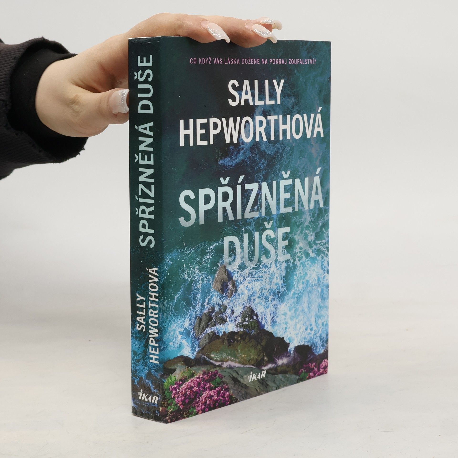 Sally Hepworth Spřízněná duše