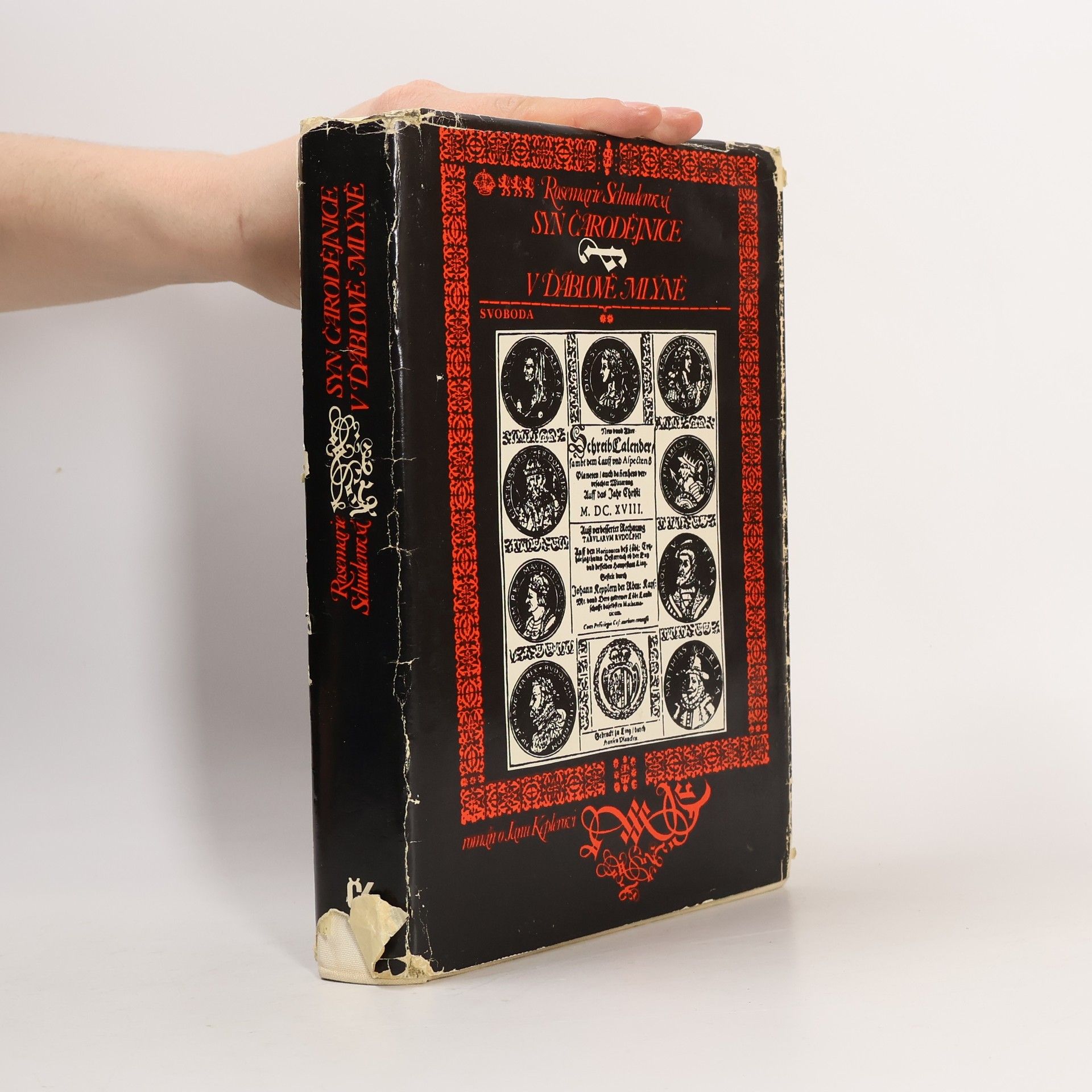 Rosemarie Schuder Syn čarodějnice. V ďáblově mlýně