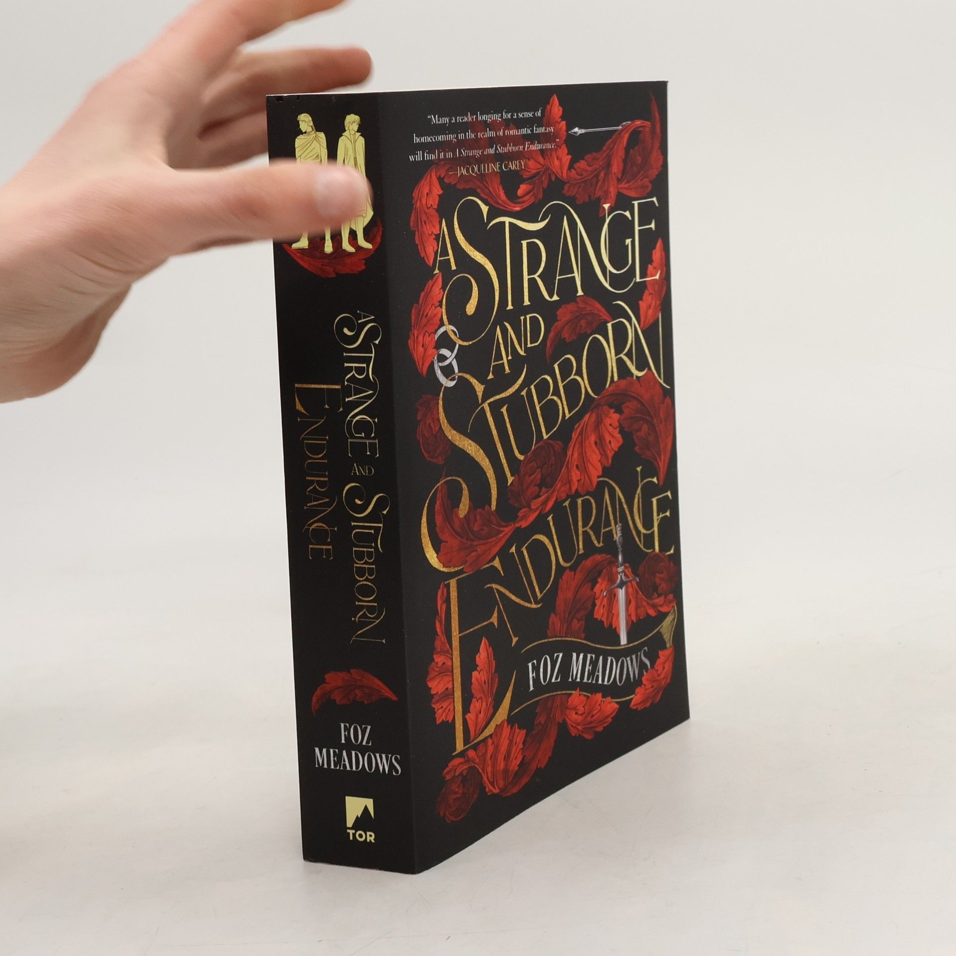 Foz Meadows A Strange and Stubborn Endurance