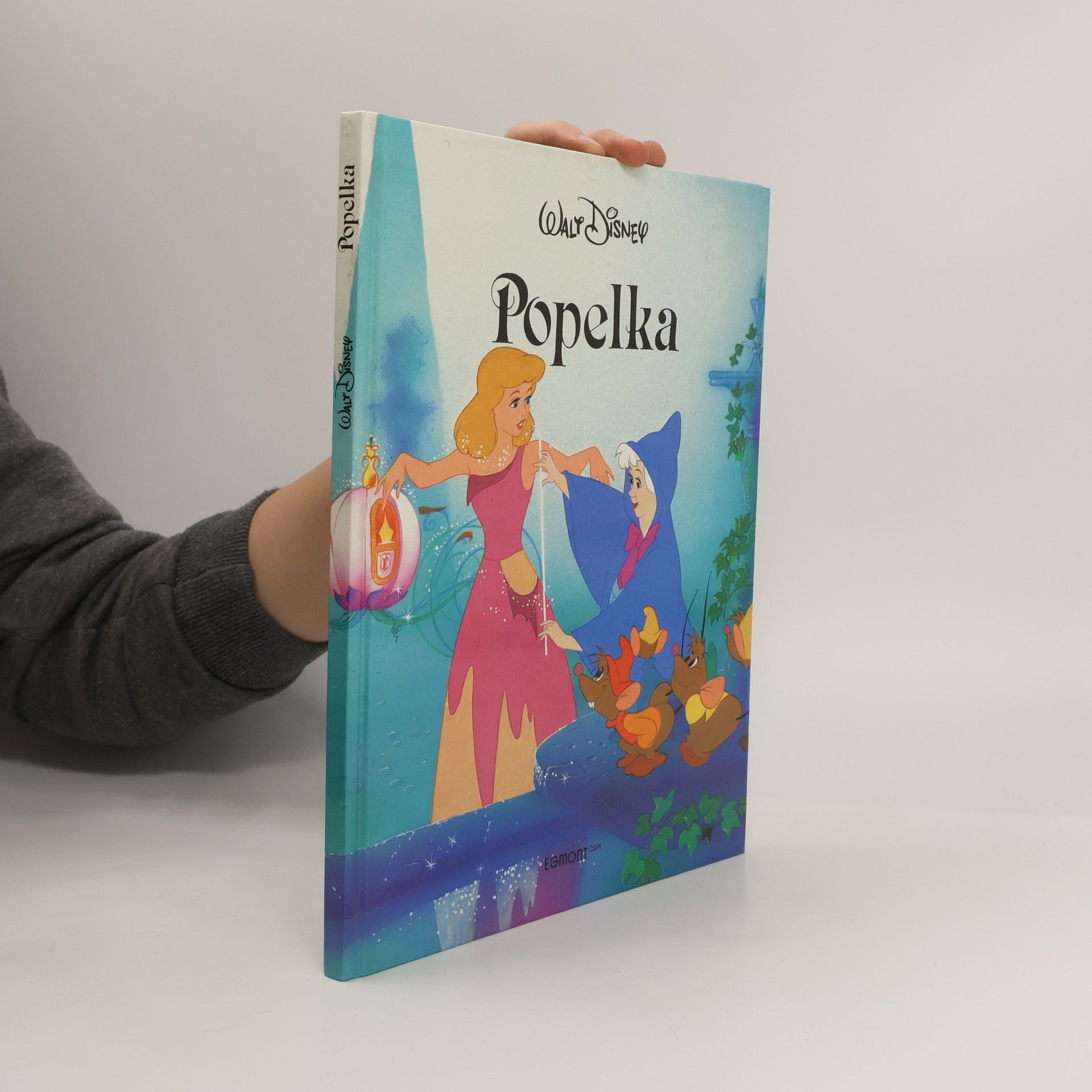 Kolektiv autorů Popelka