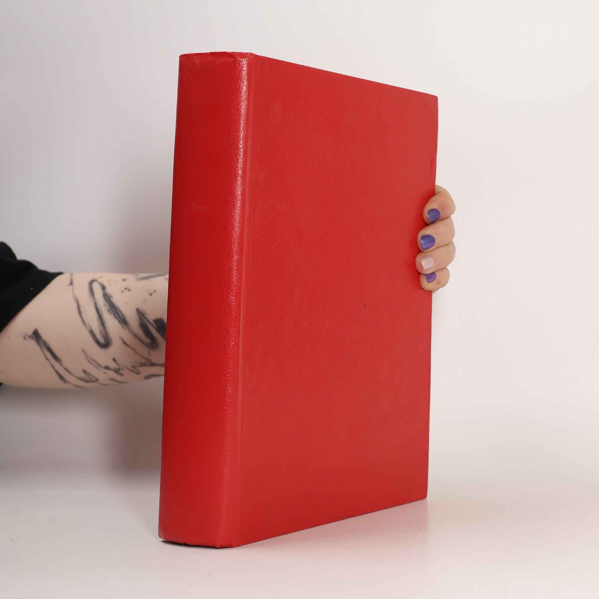 Collectif d'auteurs Ilustrovaná Biblia