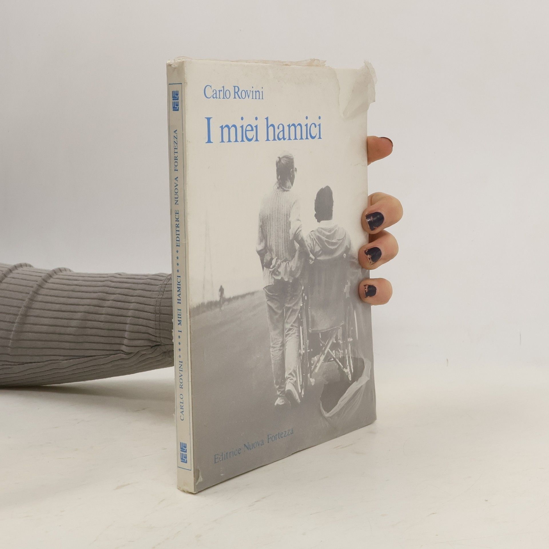 Carlo Rovini I miei hamici