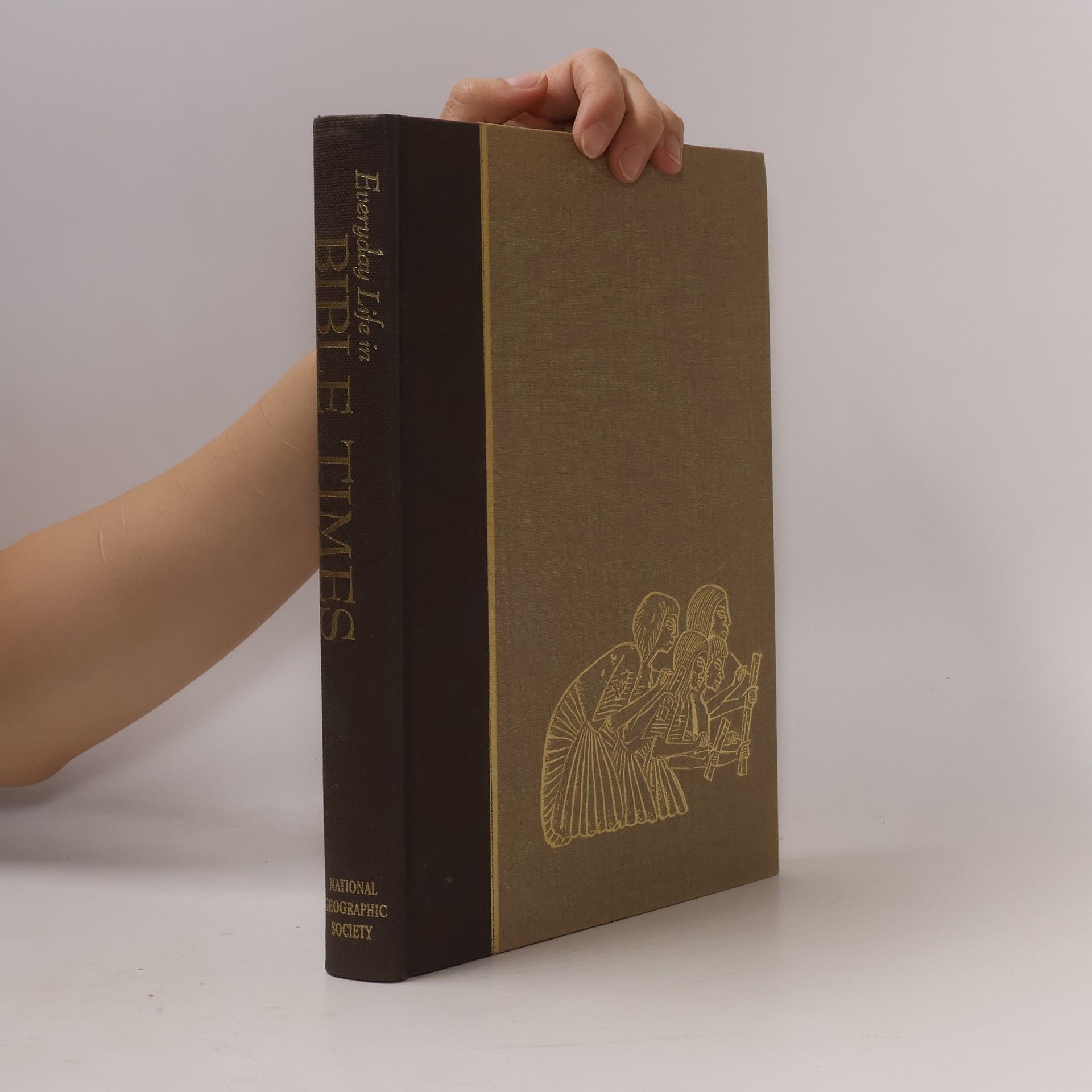 Kolektív autorov Everyday Life in Bible Times