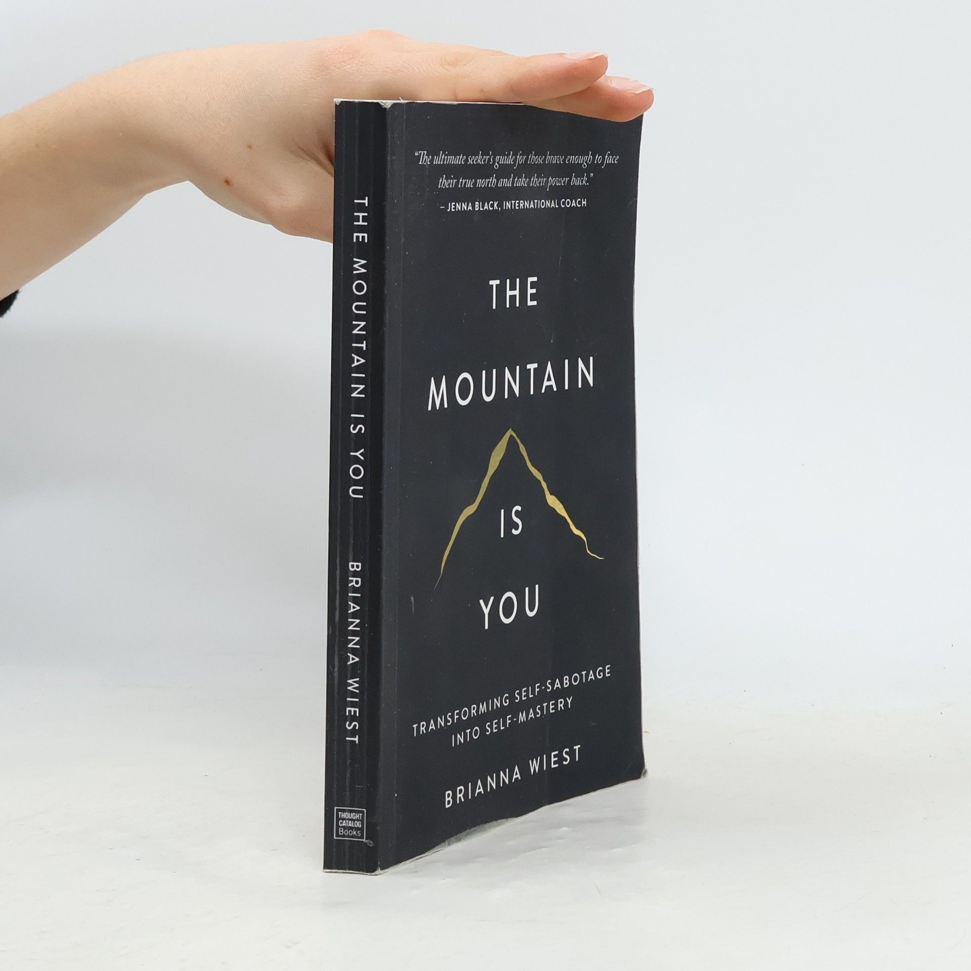 Brianna Wiest The Mountain Is You