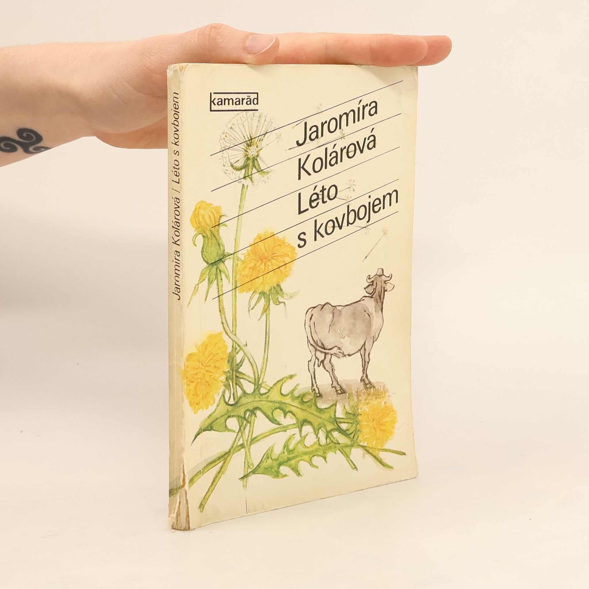 Jaromíra Kolárová Léto s kovbojem