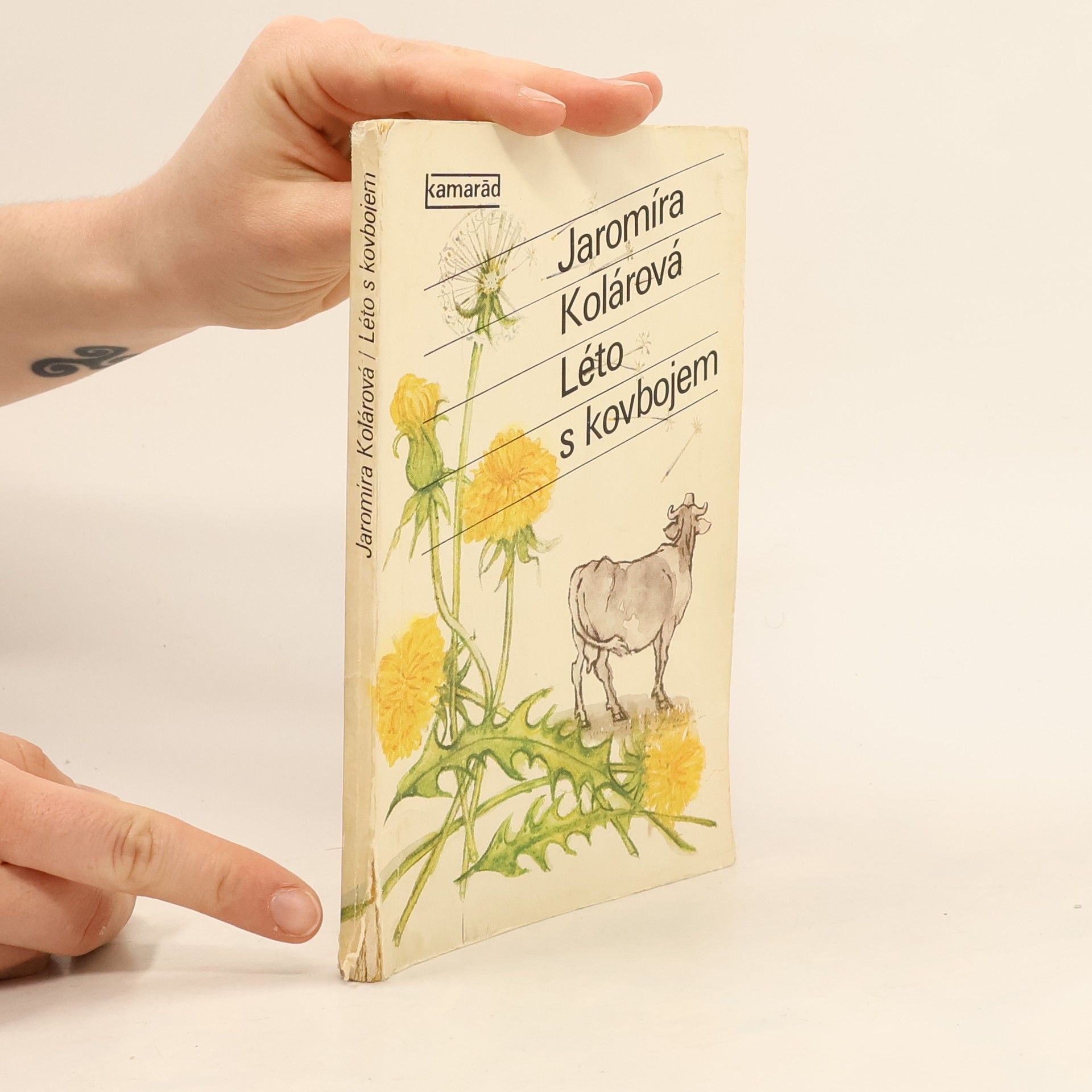 Jaromíra Kolárová Léto s kovbojem