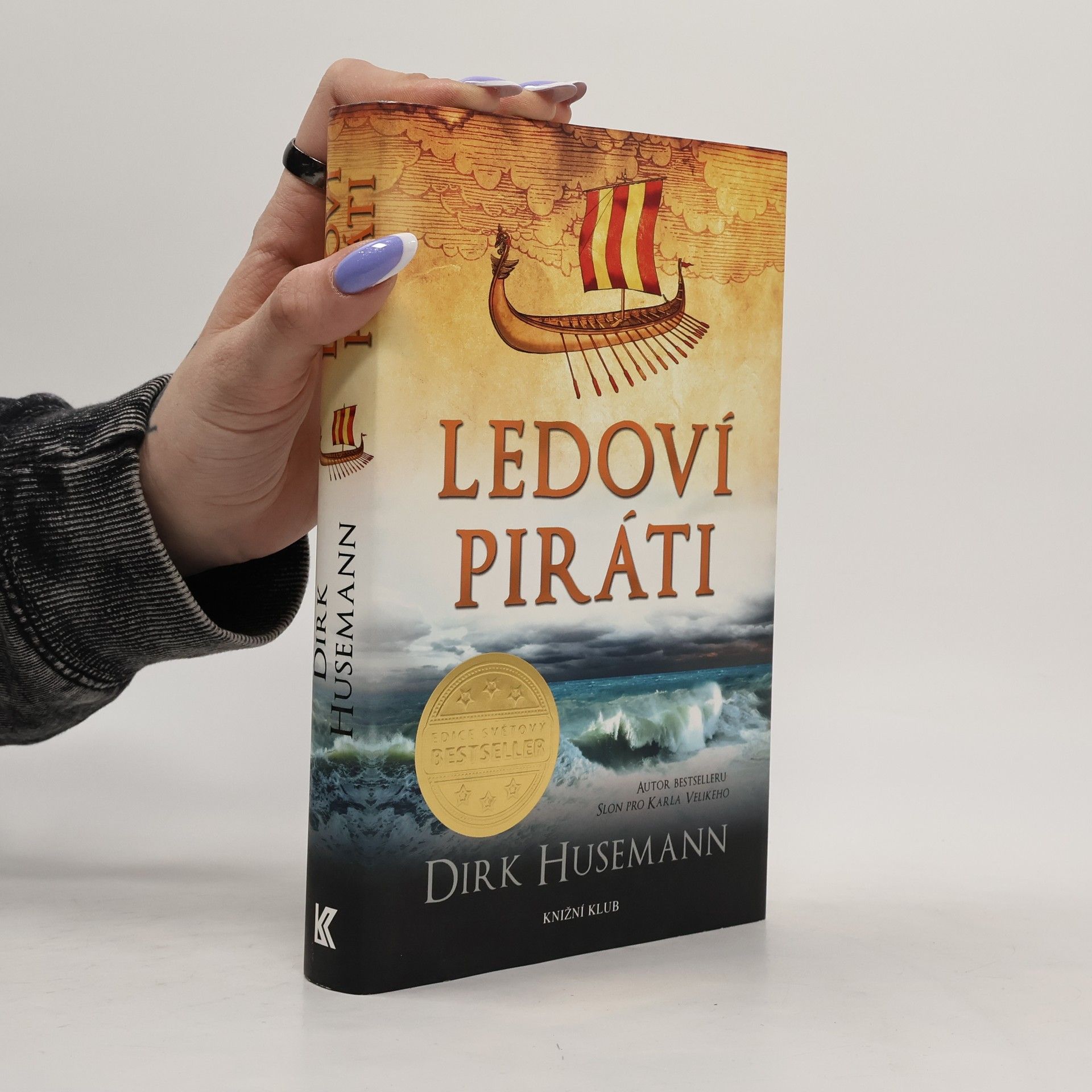 Dirk Husemann Ledoví piráti