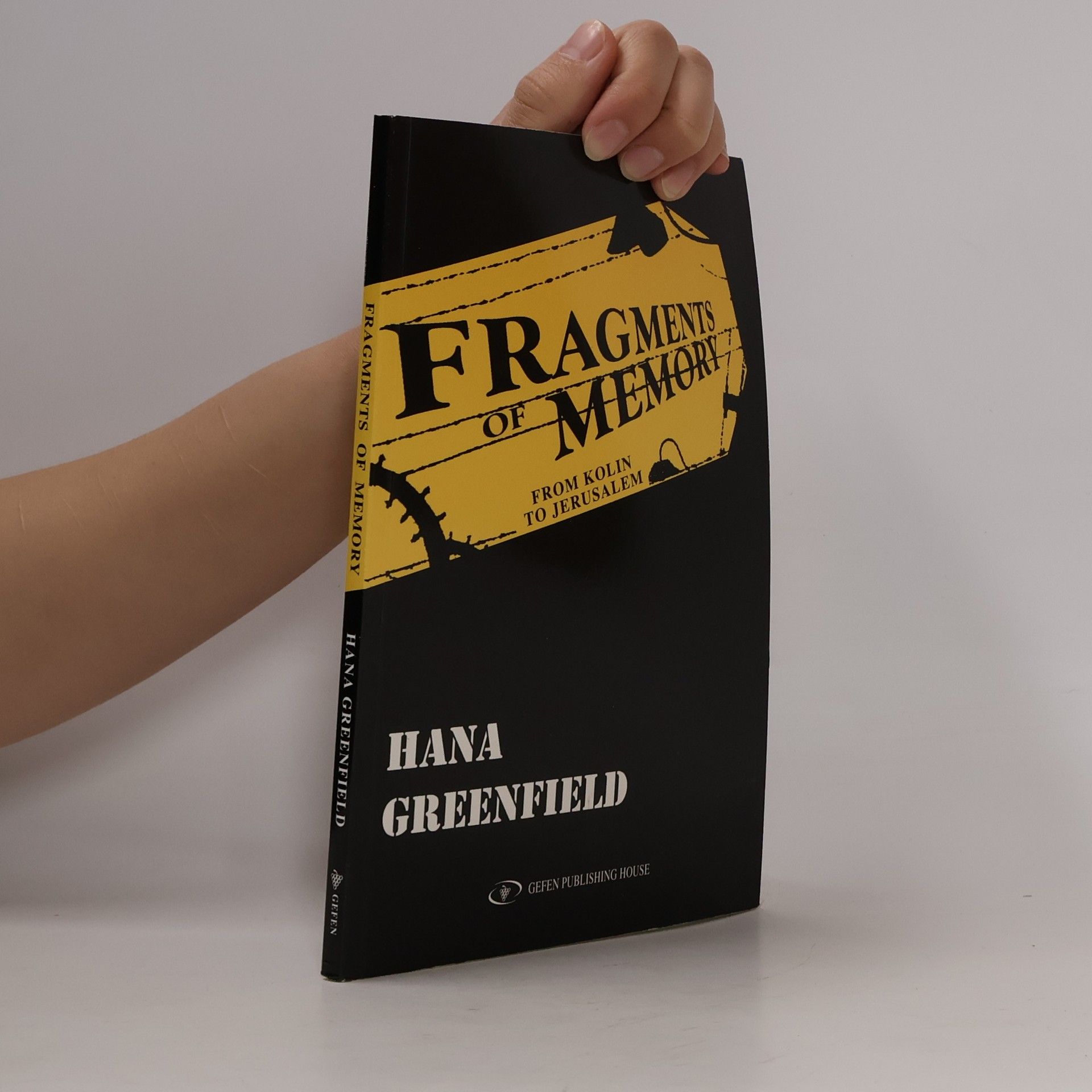 Hana Greenfield Fragments of Memory