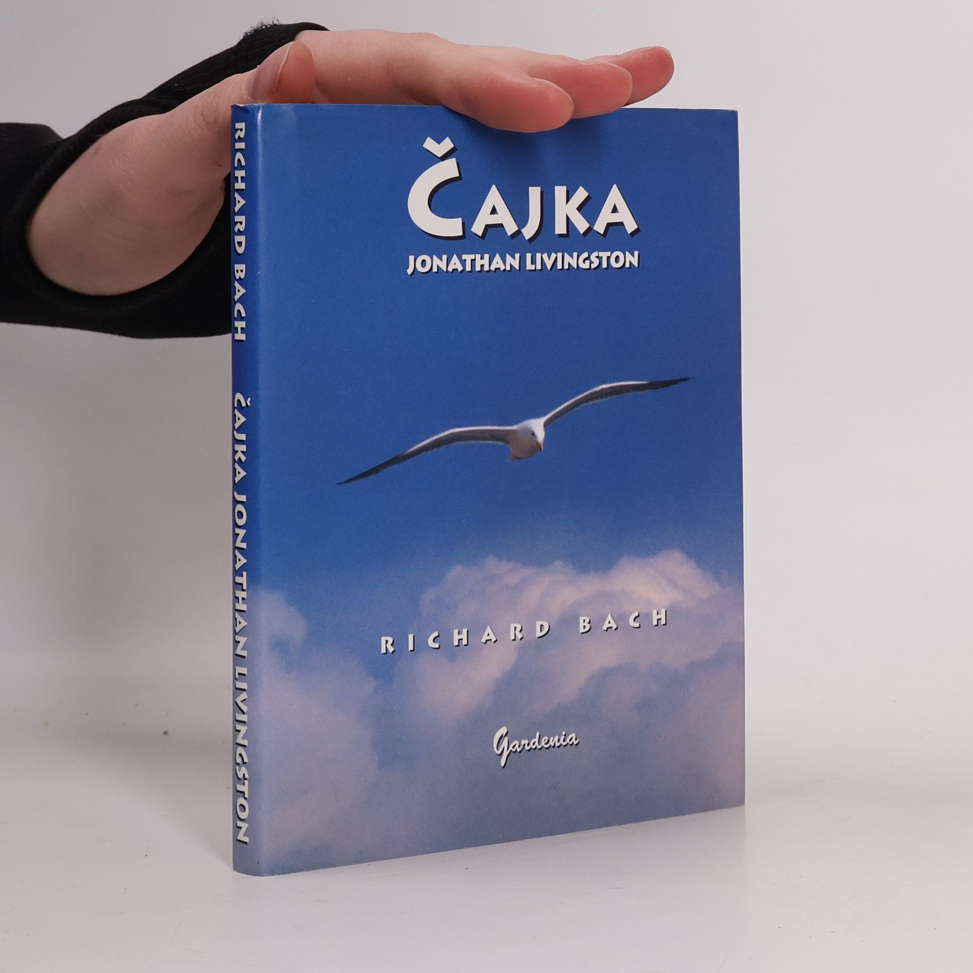 Čajka Jonathan Livingston
