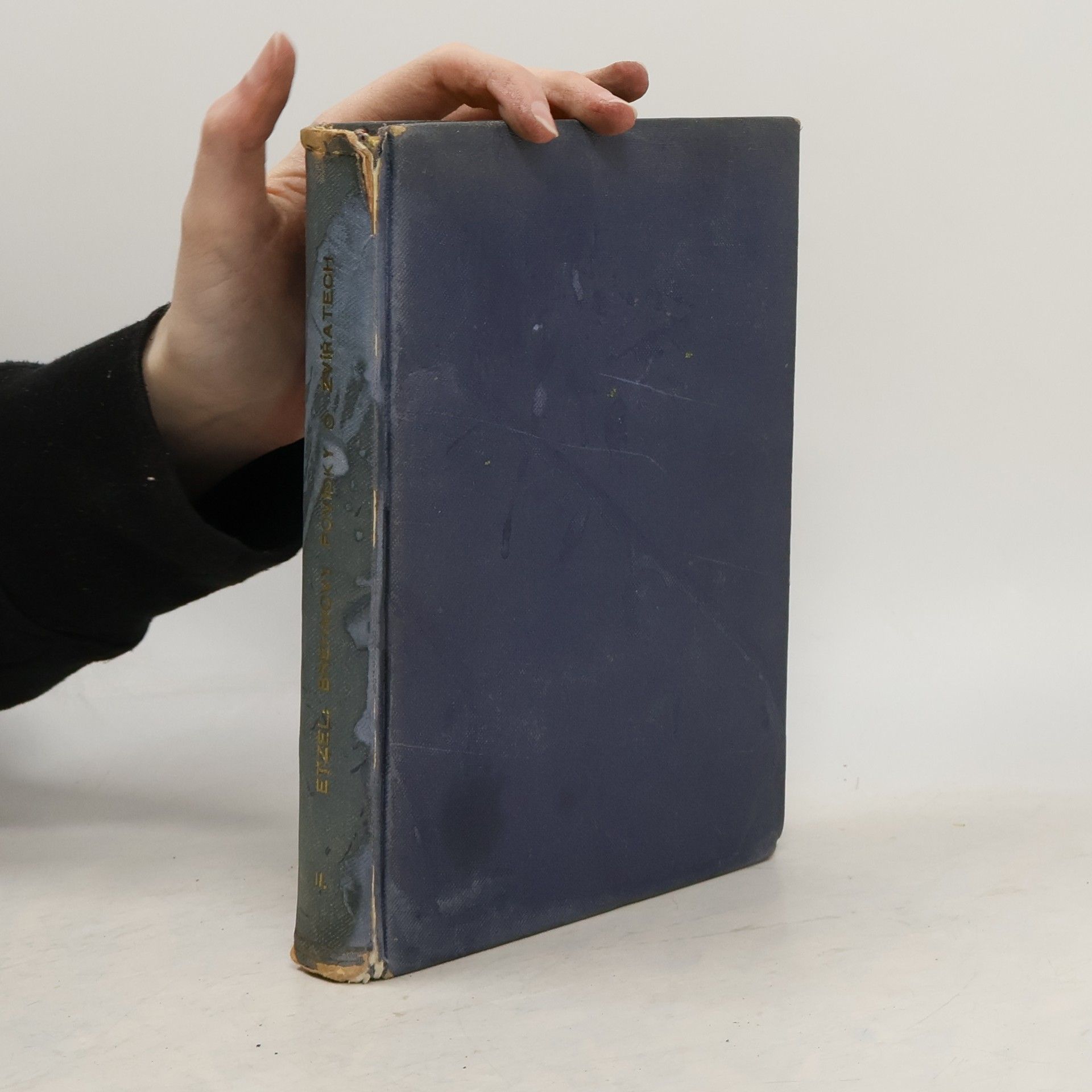 Theodor Etzel Brehmovy povídky o zvířatech II.