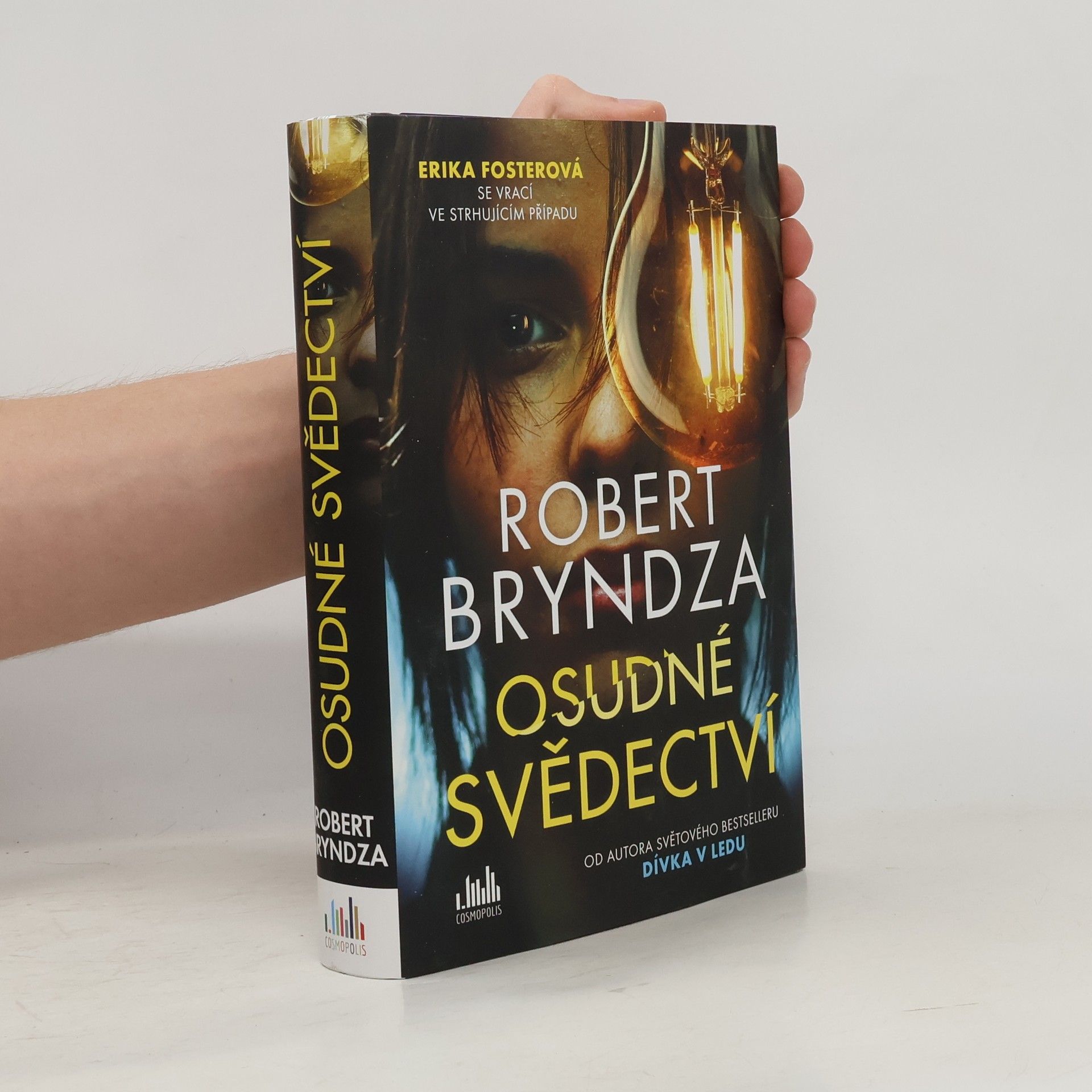Robert Bryndza Osudné svědectví