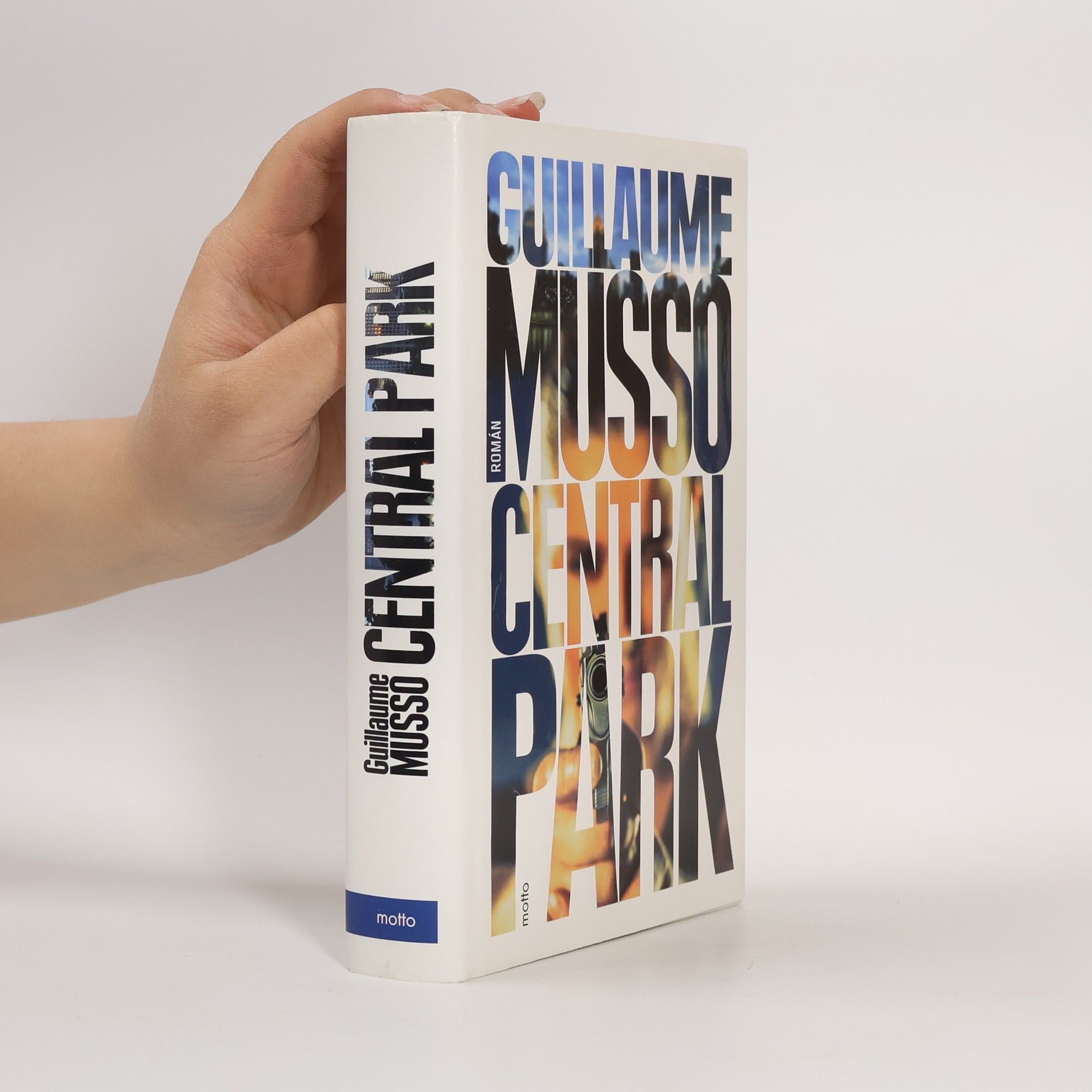 Guillaume Musso Central Park