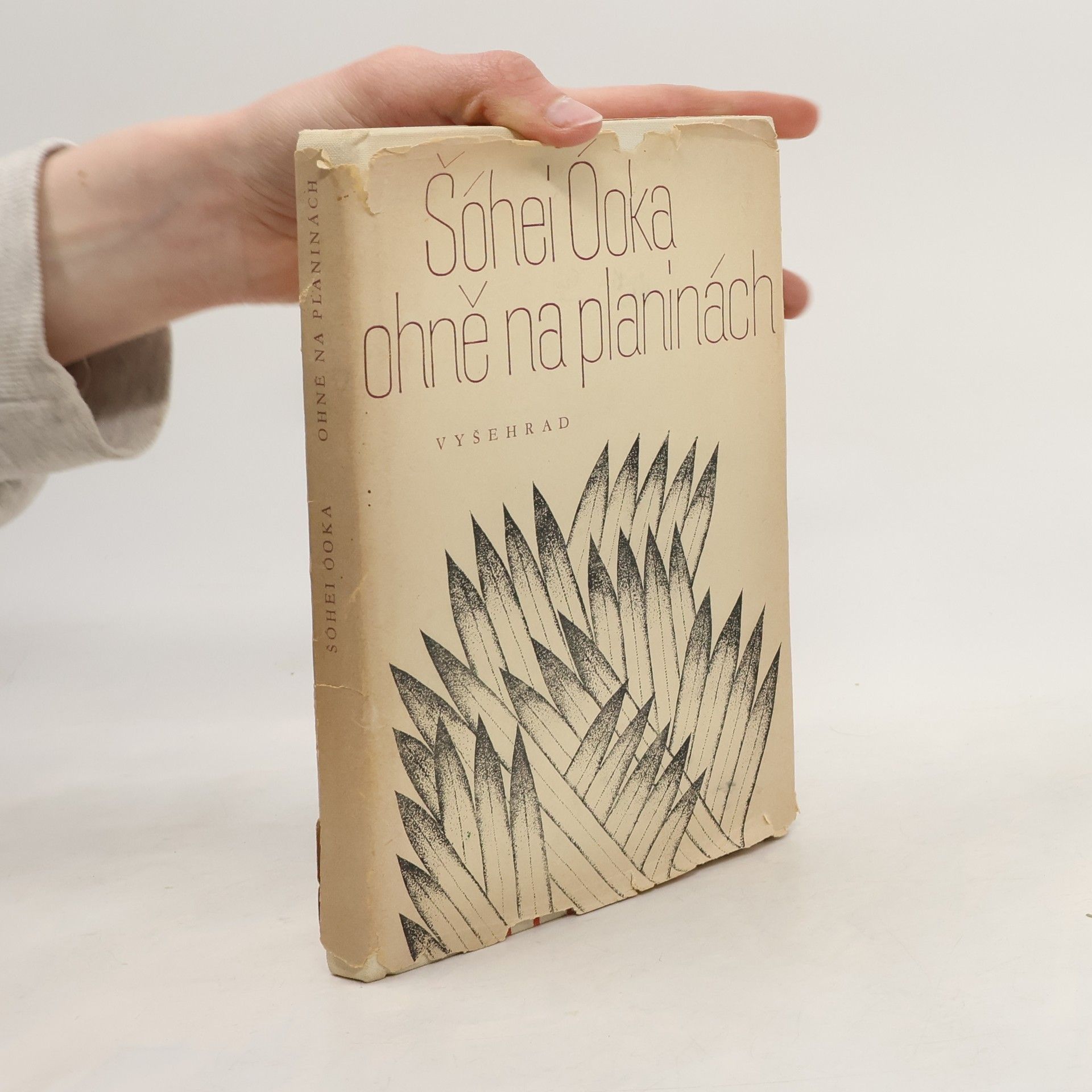 Shōhei Ōoka Ohně na planinách