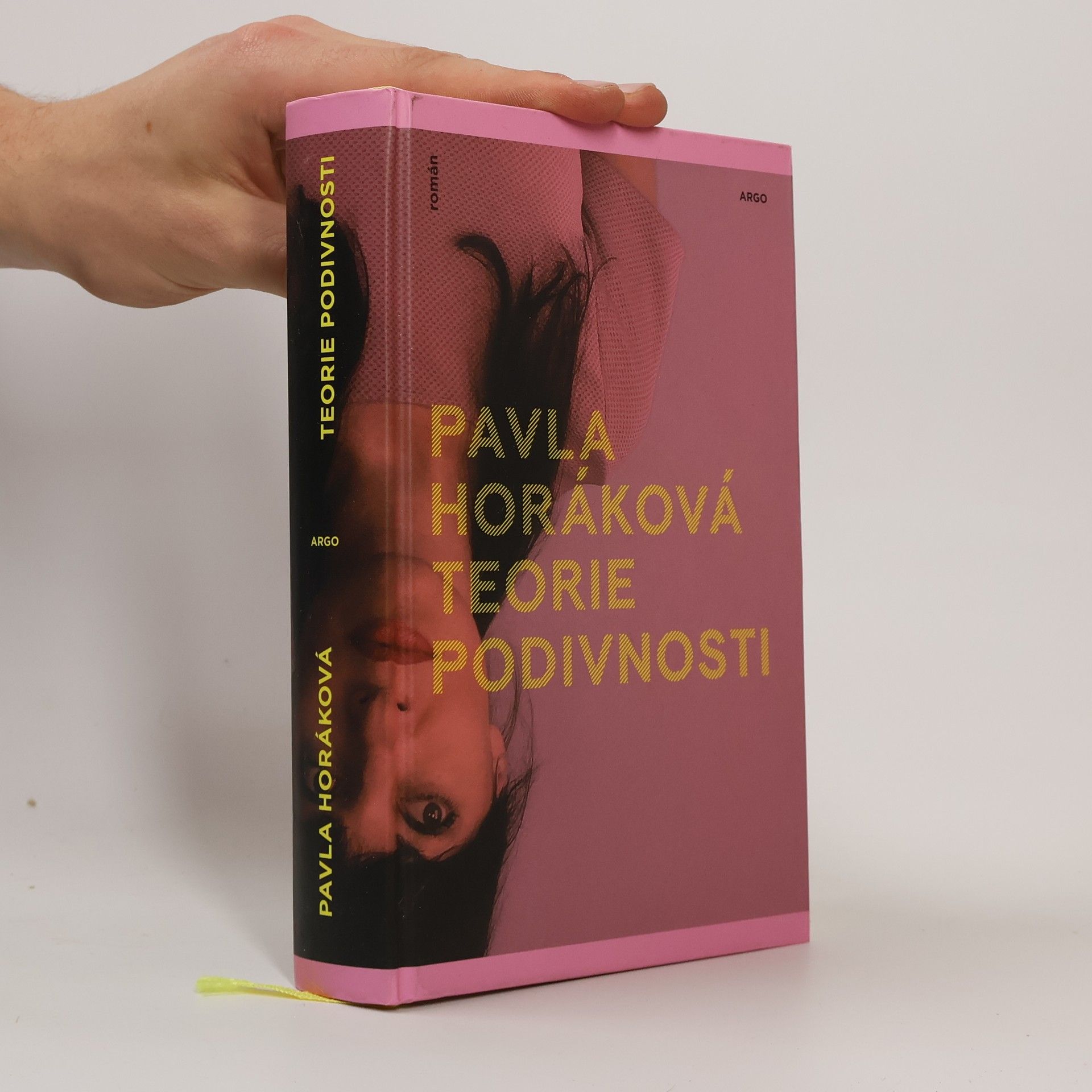 Pavla Horáková Teorie podivnosti